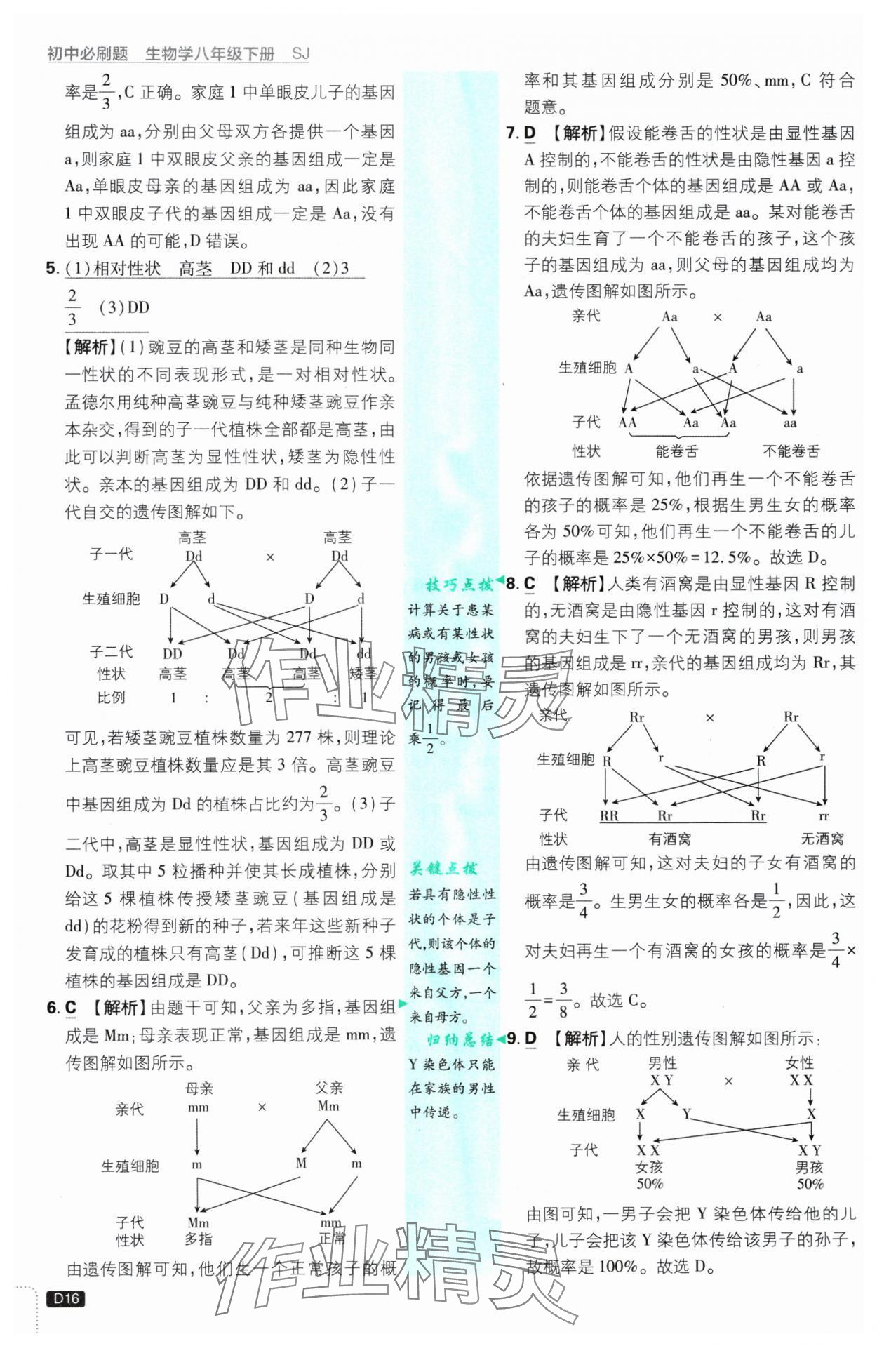 2025年初中必刷題八年級(jí)生物下冊(cè)蘇教版 參考答案第16頁(yè)