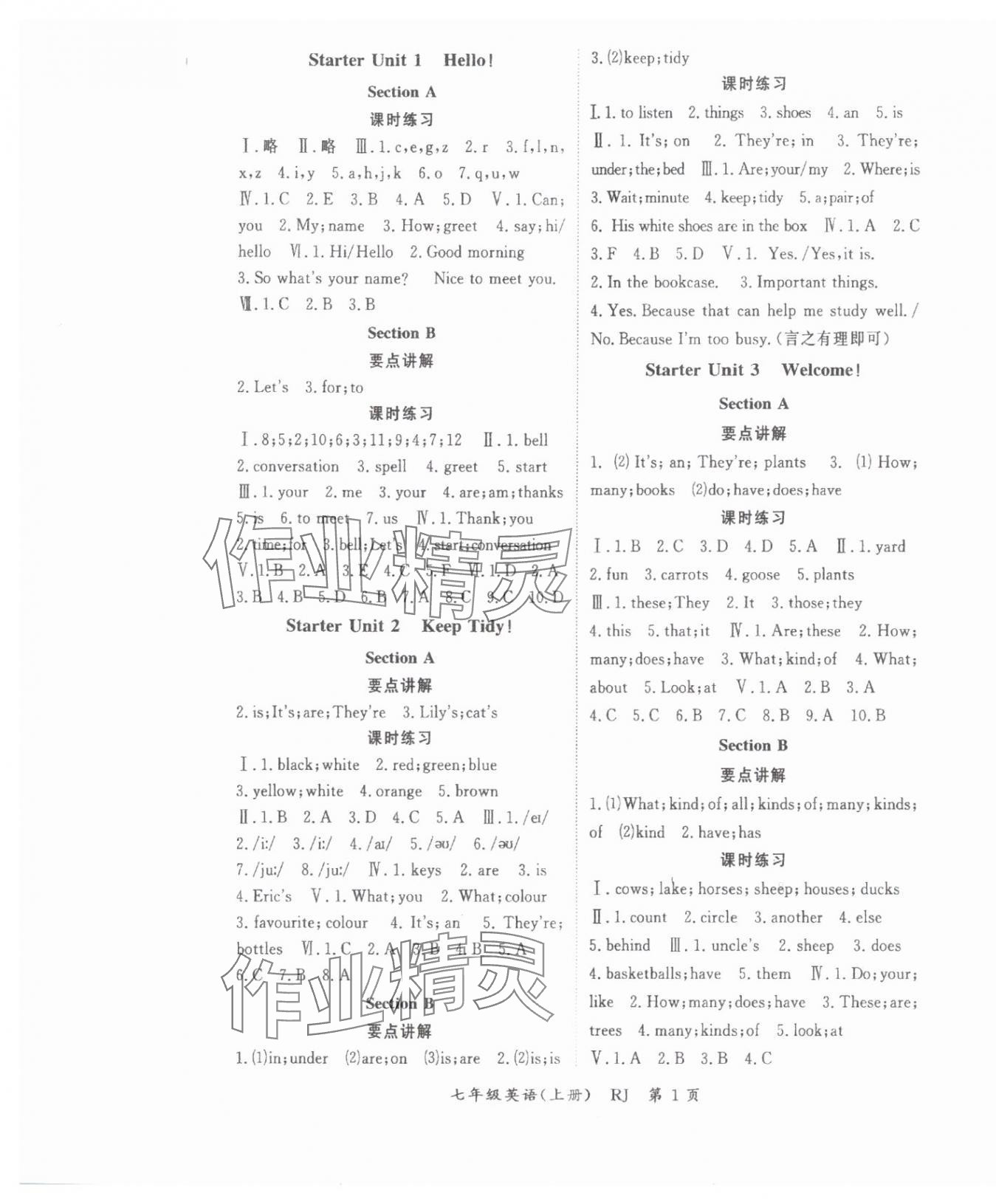 2024年启航新课堂七年级英语上册人教版 第1页