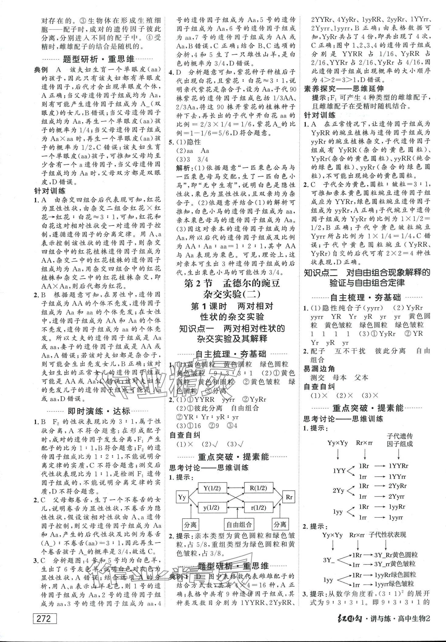 2024年红对勾讲与练高中生物必修2人教版 第2页