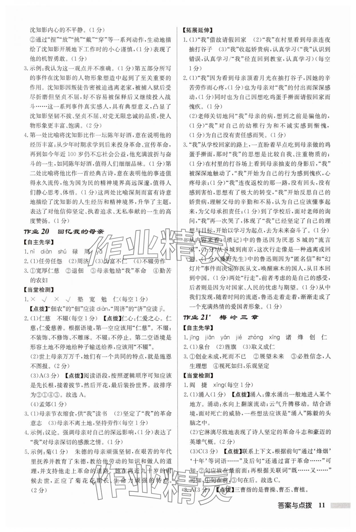 2025年啟東中學(xué)作業(yè)本七年級語文上冊人教版徐州專版 參考答案第11頁