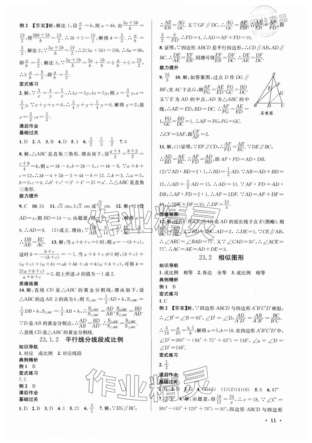 2024年培優課堂九年級數學全一冊華師大版四川專版 第11頁