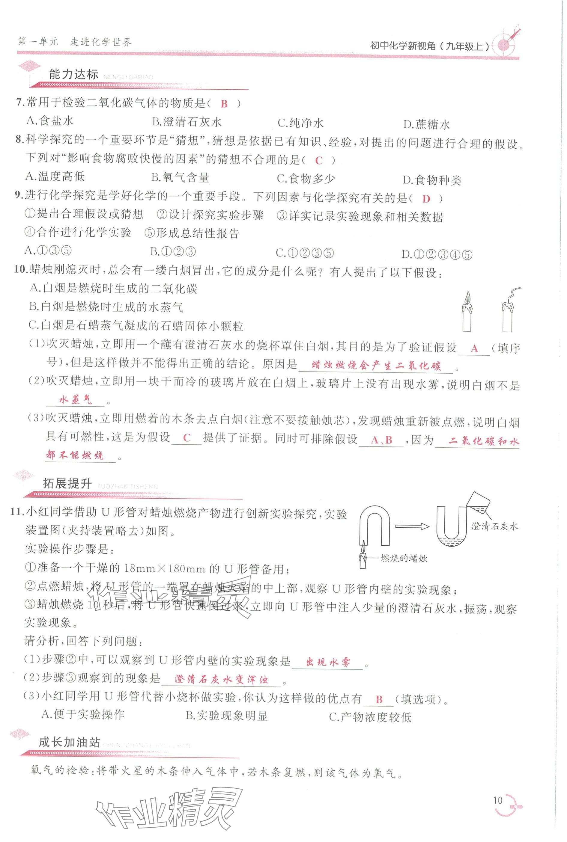 2025年新视角教辅系列丛书九年级化学上册人教版 参考答案第10页