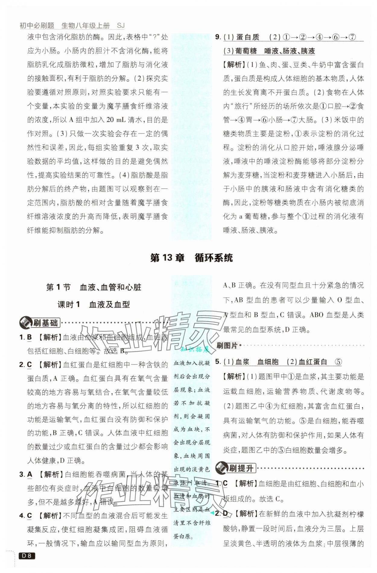 2025年初中必刷题八年级生物上册苏教版&nbsp;第8页