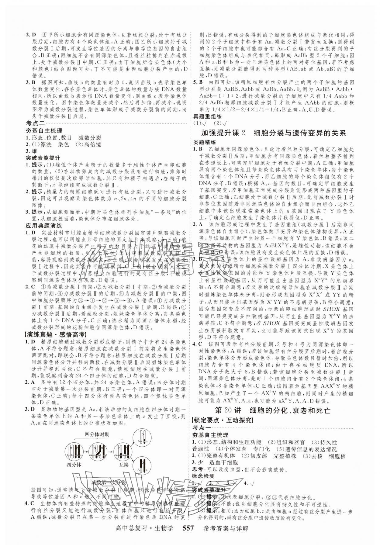 2024年三维设计生物 参考答案第21页