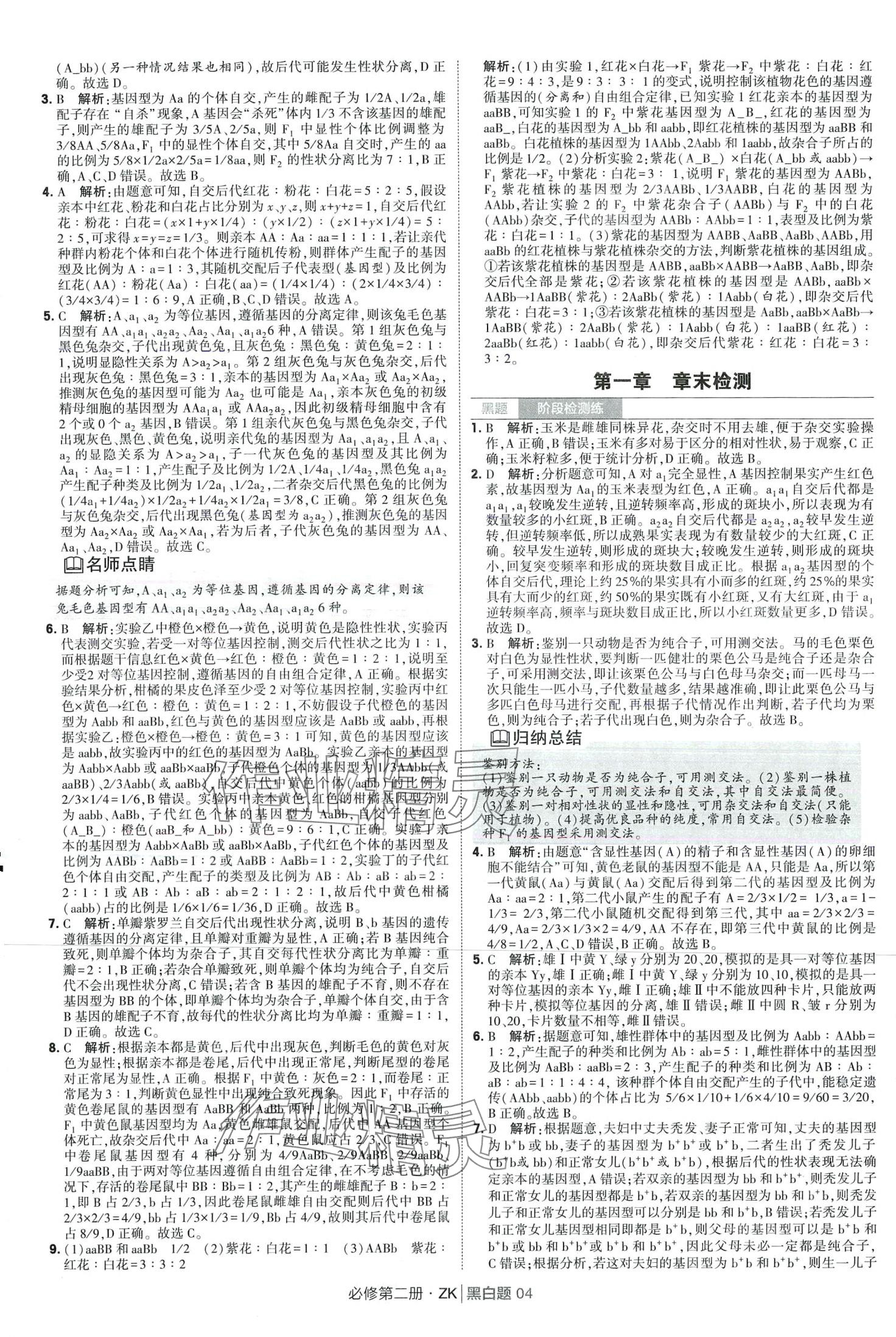 2024年經(jīng)綸學(xué)典黑白題高中生物必修第二冊(cè)浙科版 第4頁(yè)