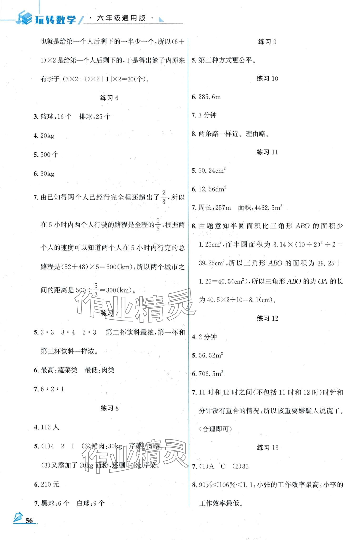 2024年名师讲坛智趣冬令营六年级数学通用版 第2页