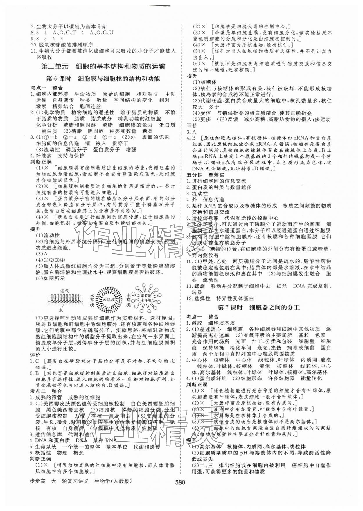 2025年步步高大一輪復習講義生物人教版 第4頁