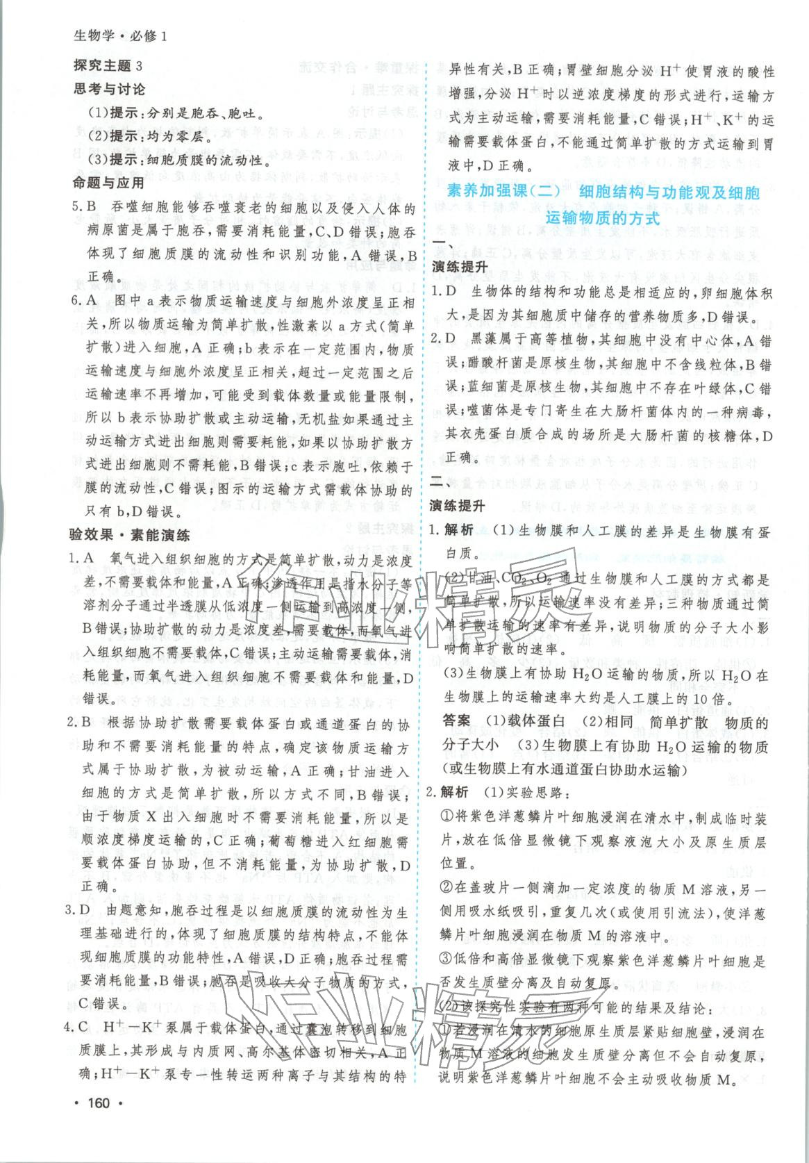 2026年高考一线课时练习高中生物必修第一册通用版江苏专版 第12页