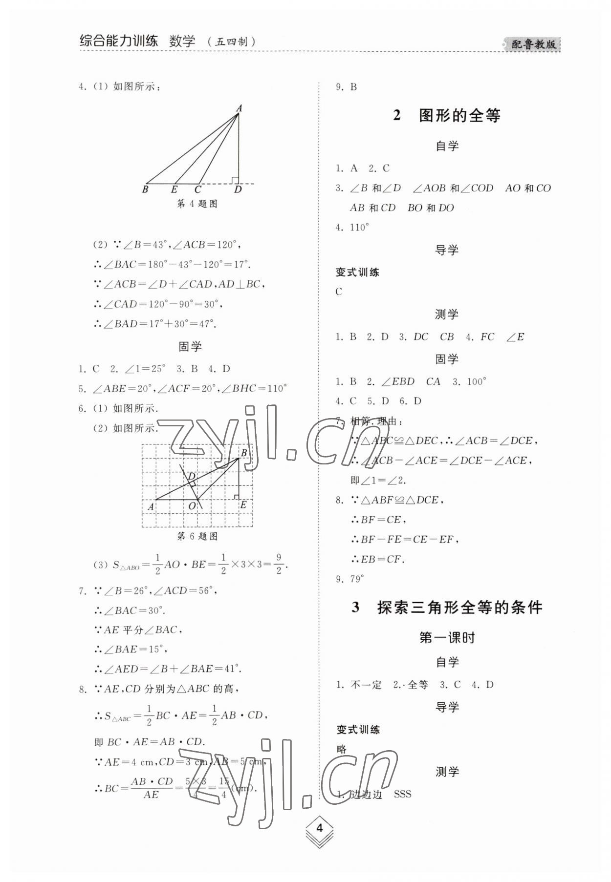 2023年综合能力训练七年级数学上册鲁教版54制 参考答案第3页