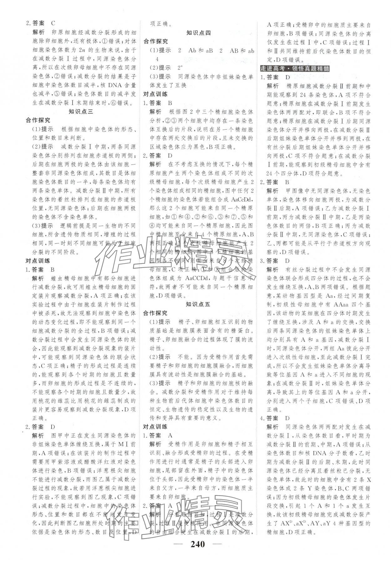 2025年新教材同步學案高考調研生物必修2人教版 第10頁