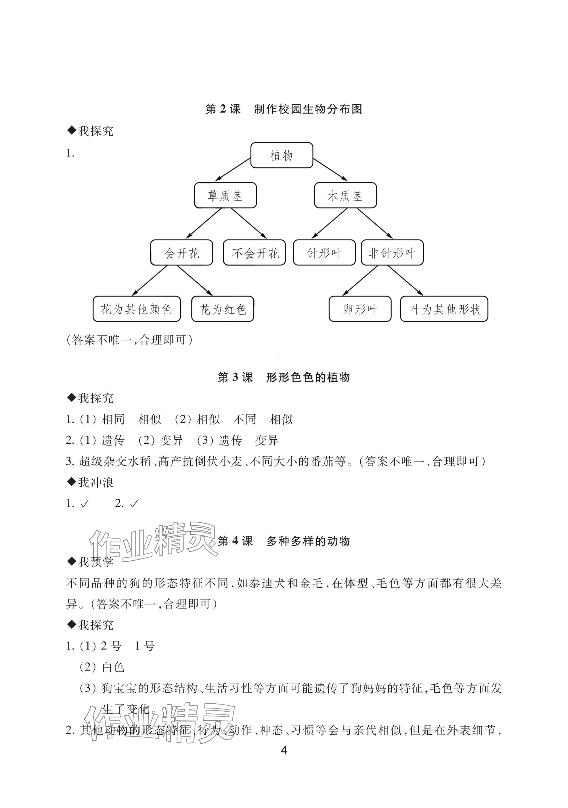 2025年預(yù)學(xué)與導(dǎo)學(xué)六年級科學(xué)下冊教科版 參考答案第4頁