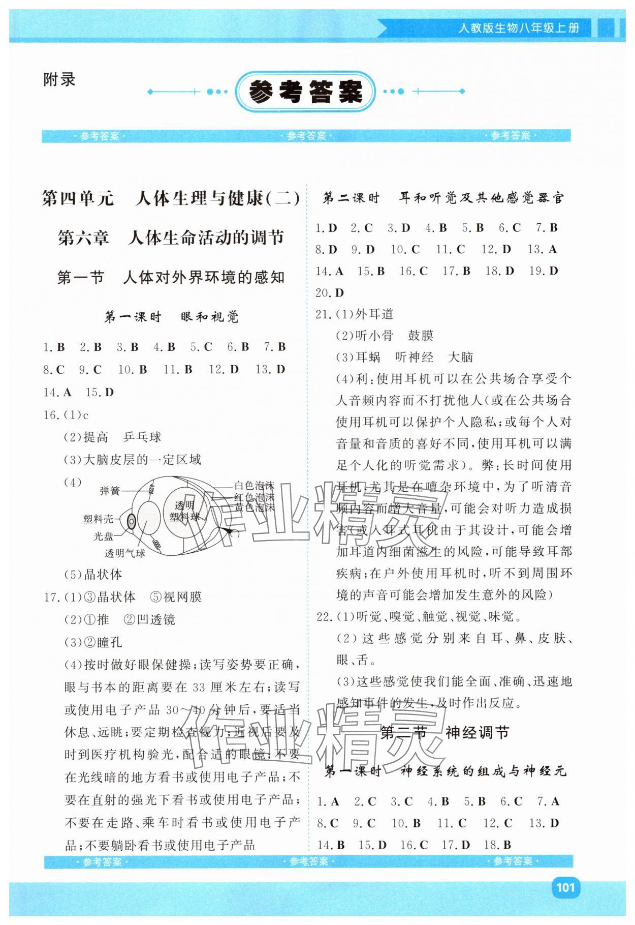 2025年同步实践评价课程基础训练湖南少年儿童出版社八年级生物上册人教版 第1页