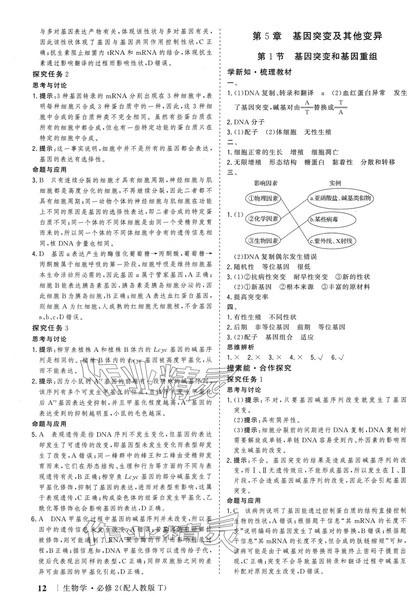 2024年高考領(lǐng)航高中生物必修2人教版 第12頁(yè)