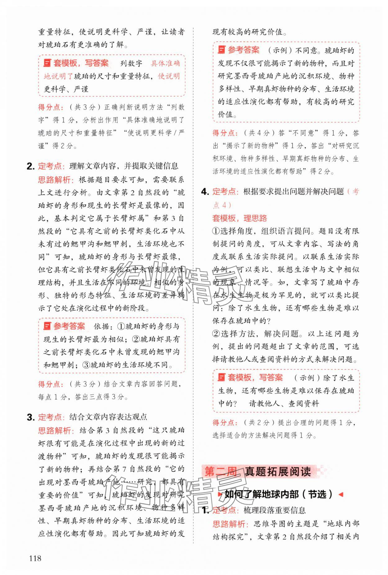 2025年閱讀理解與答題模板四年級(jí)語(yǔ)文下冊(cè)人教版 參考答案第10頁(yè)