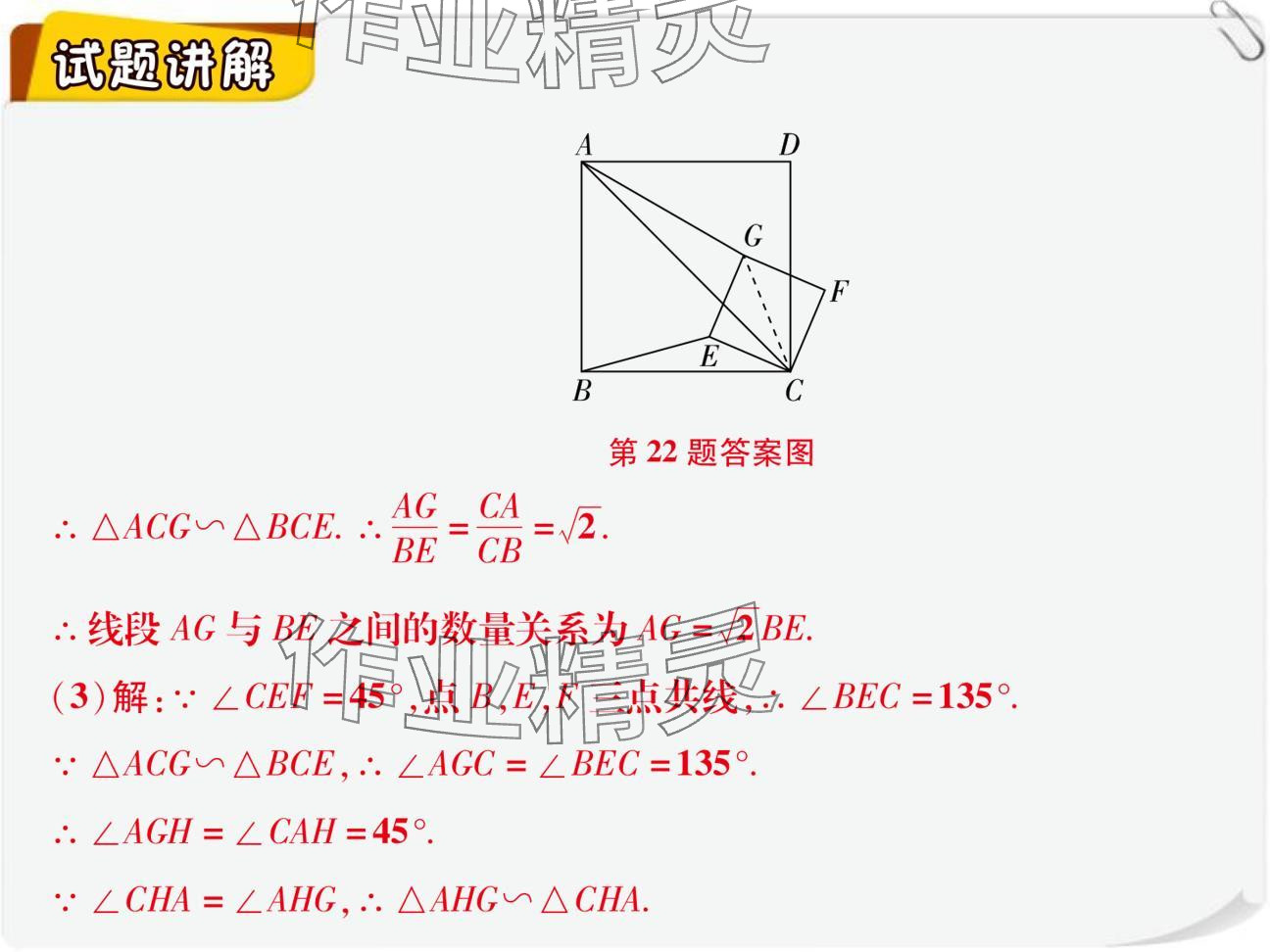 2024年复习直通车期末复习与假期作业九年级数学北师大版 参考答案第24页