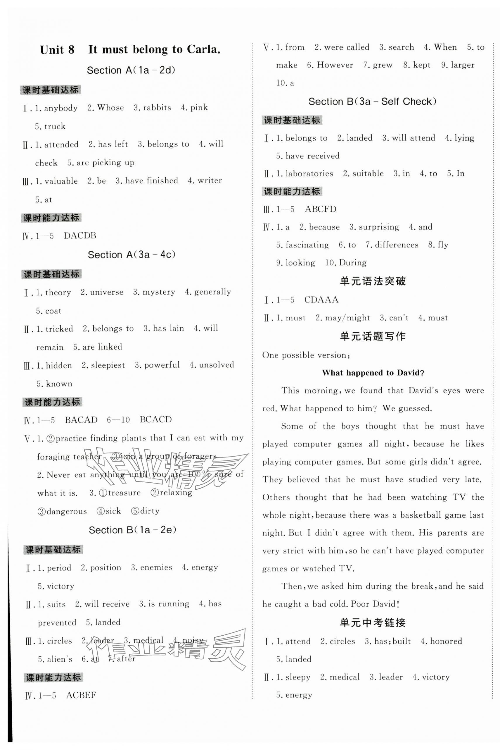 2025年同行学案学练测九年级英语全一册人教版青岛专版 第9页