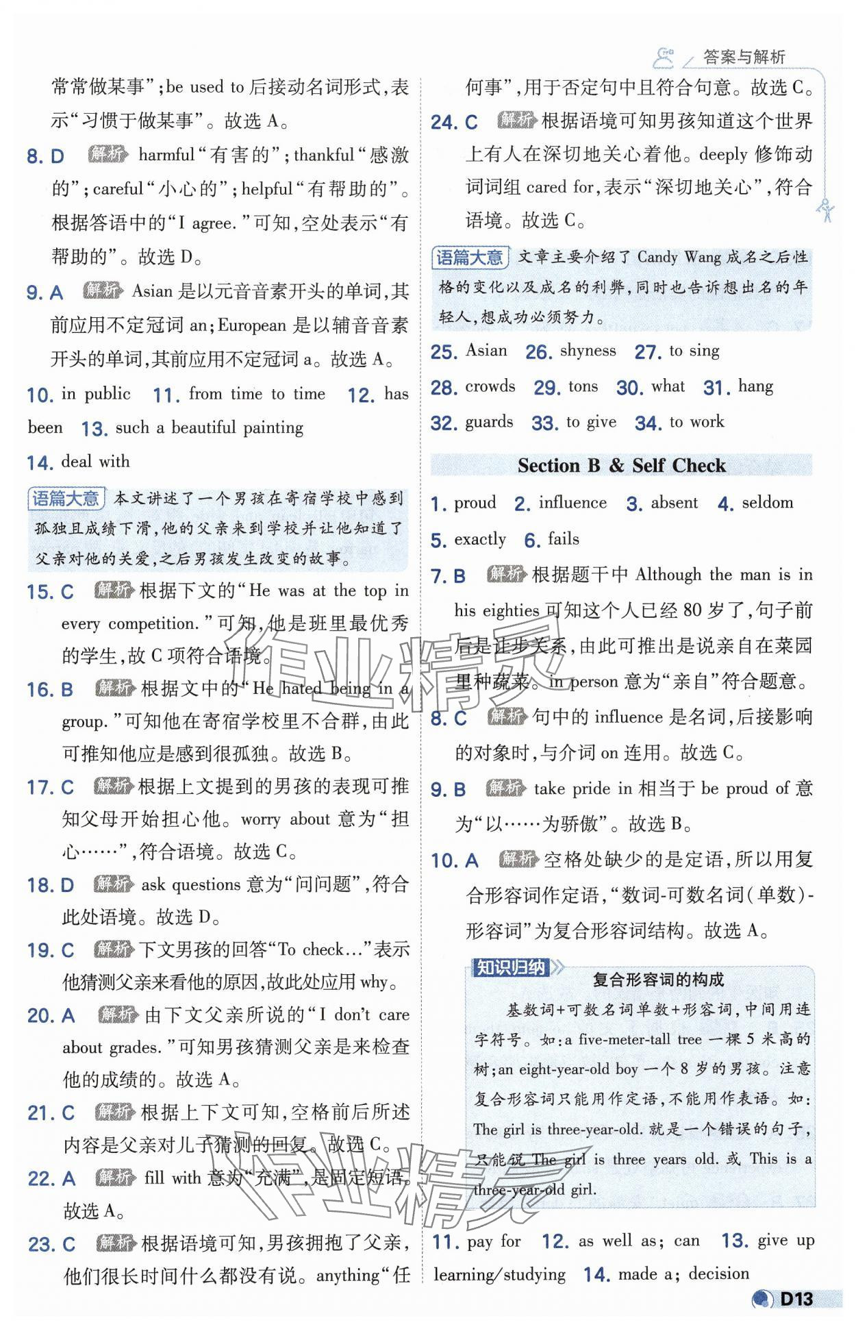 2025年少年班初中英語九年級全一冊人教版 第13頁