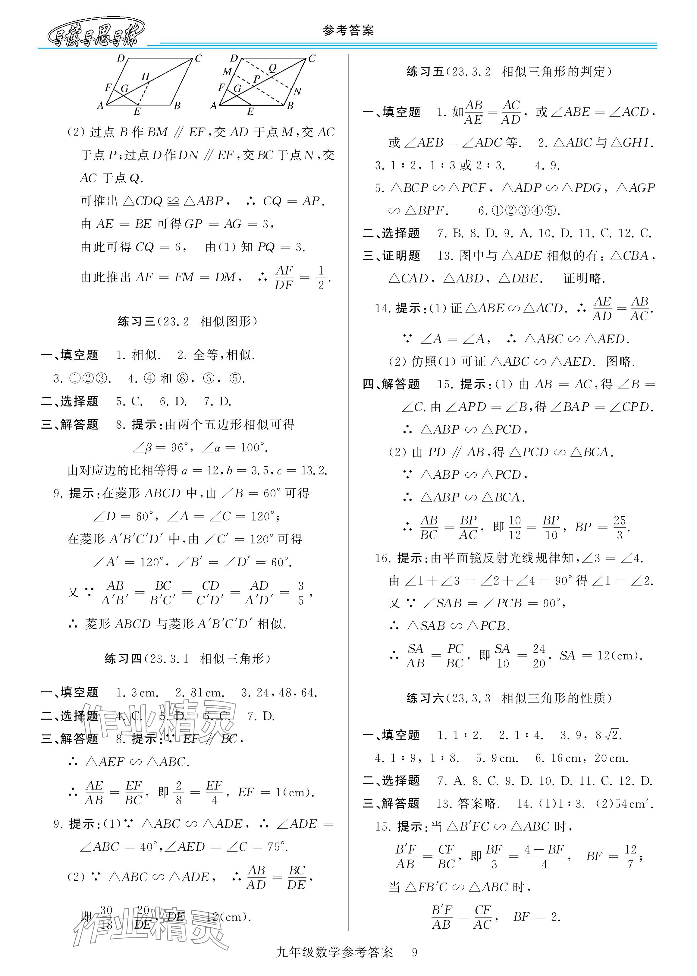 2025年新課程學習指導九年級數學全一冊華師大版 參考答案第9頁