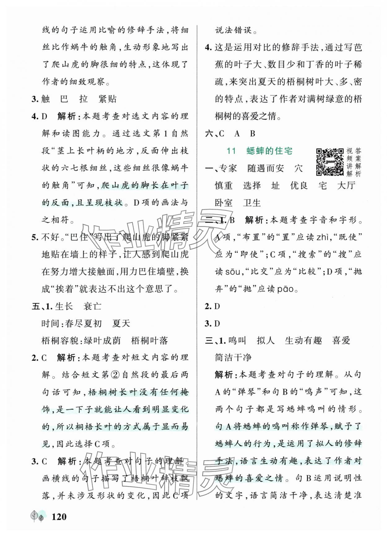 2025年綠卡提優(yōu)特訓(xùn)四年級(jí)語(yǔ)文上冊(cè)人教版&nbsp;參考答案第12頁(yè)