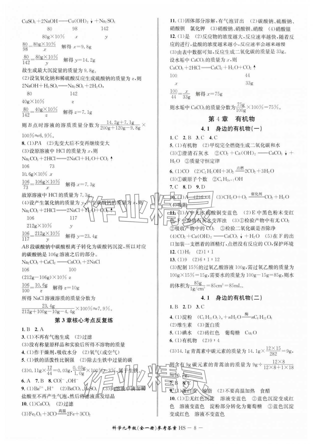 2024年名師金典BFB初中課時(shí)優(yōu)化九年級(jí)科學(xué)A本全一冊(cè)華師大版寧波專版 參考答案第8頁