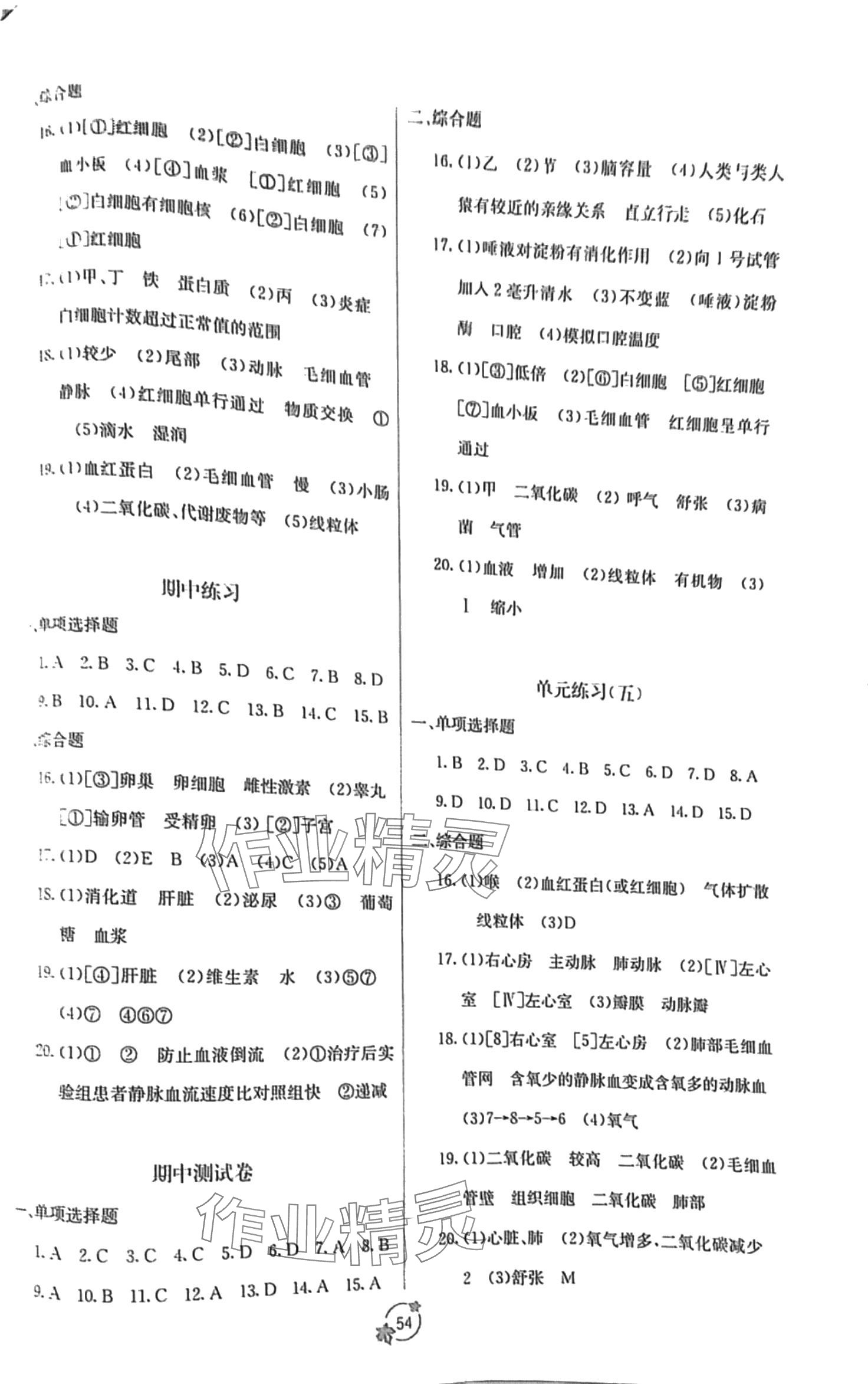 2024年自主学习能力测评单元测试七年级生物下册人教版A版 第2页