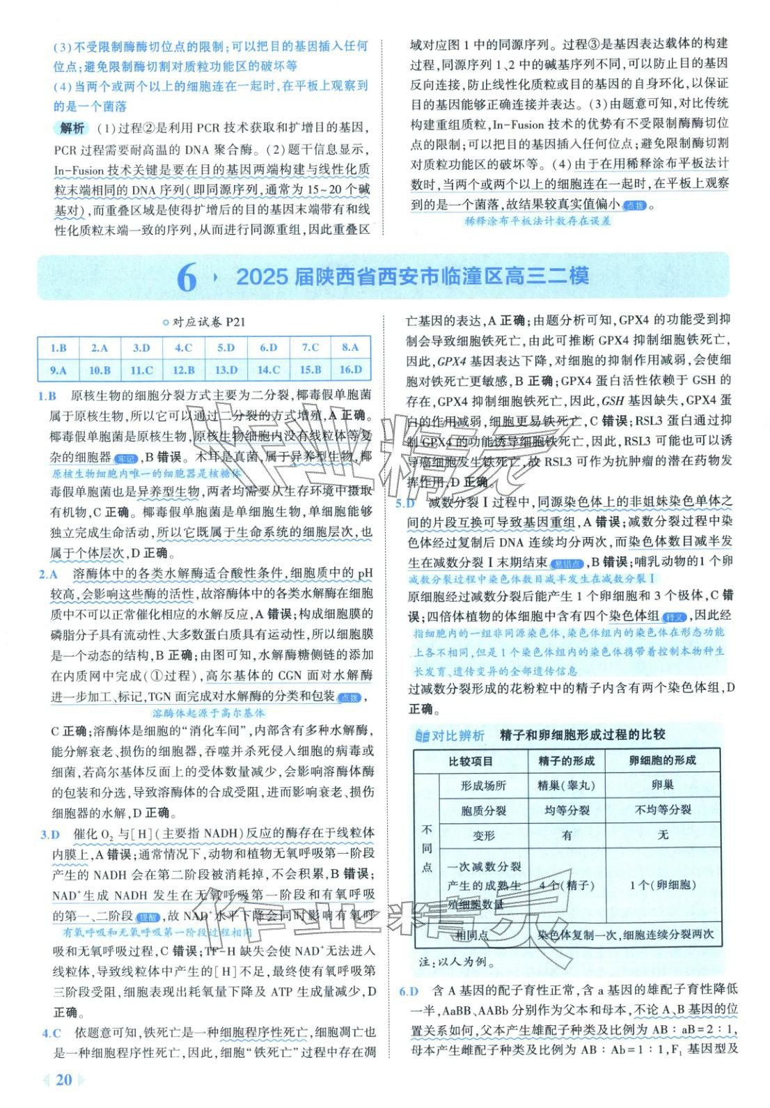 2026年53金卷优选卷汇编高中生物陕晋青宁专版&nbsp;第20页