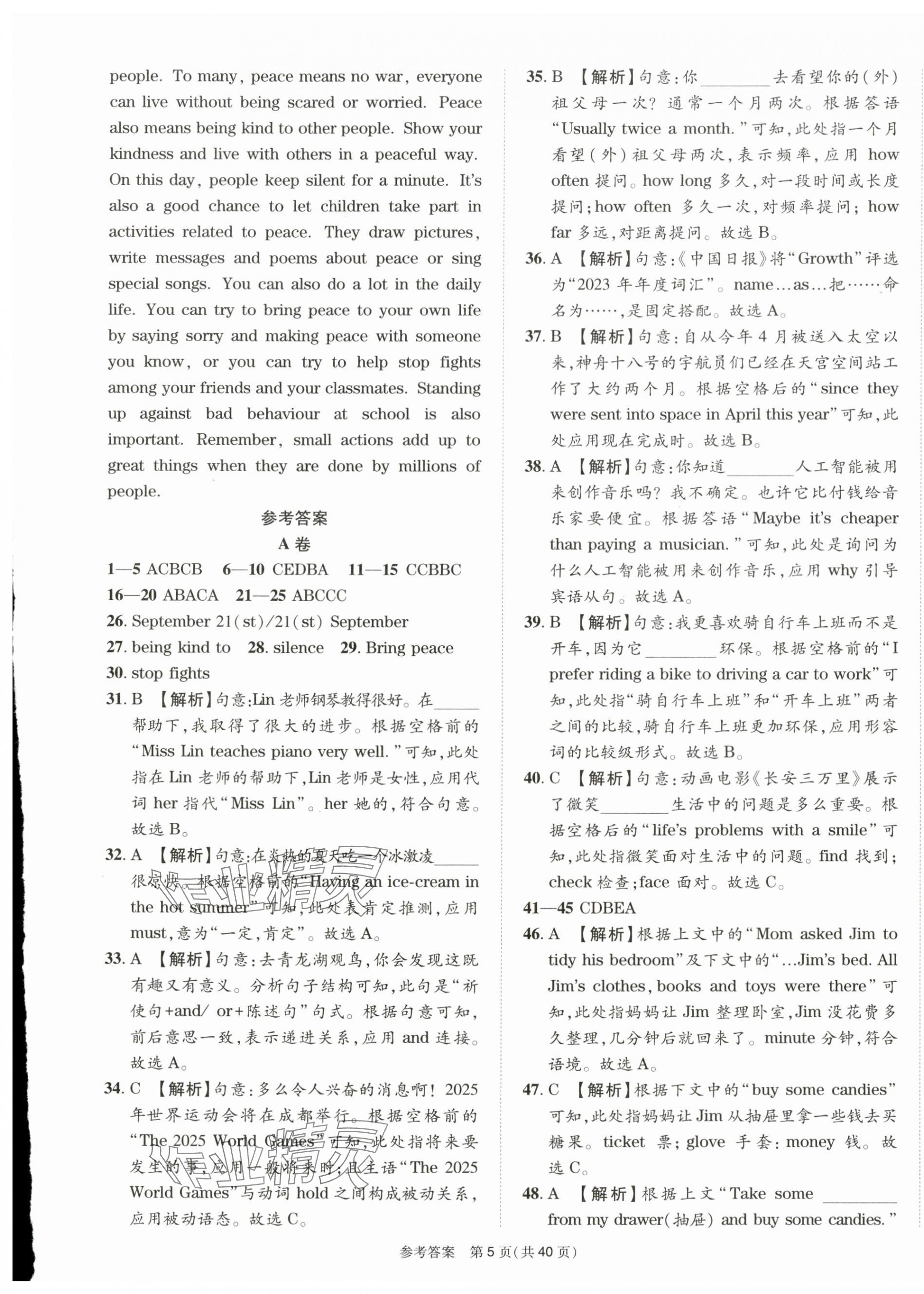 2025年中考模擬及真題精選英語中考四川專版&nbsp;第5頁