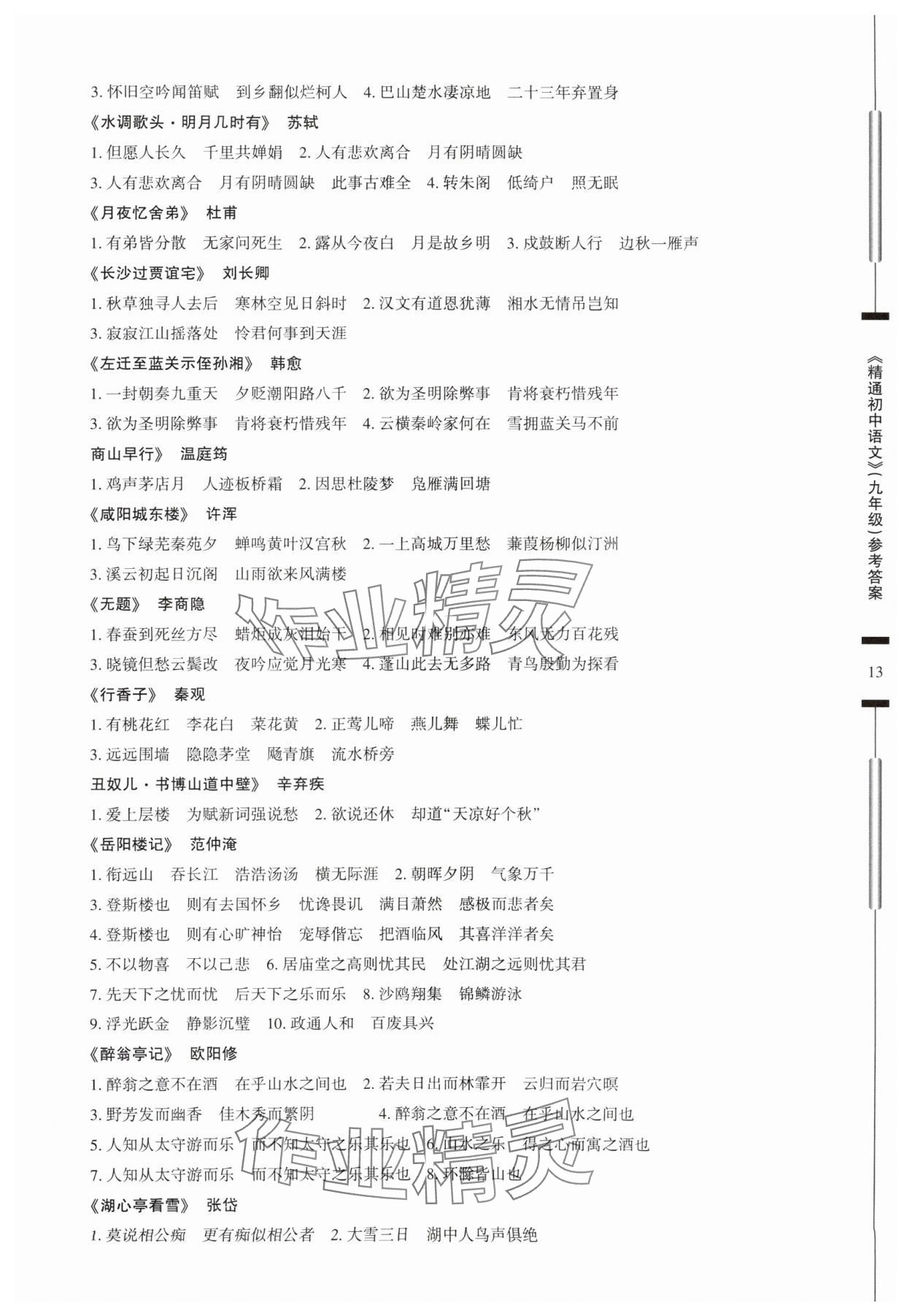 2025年精通初中語文九年級人教版 參考答案第13頁