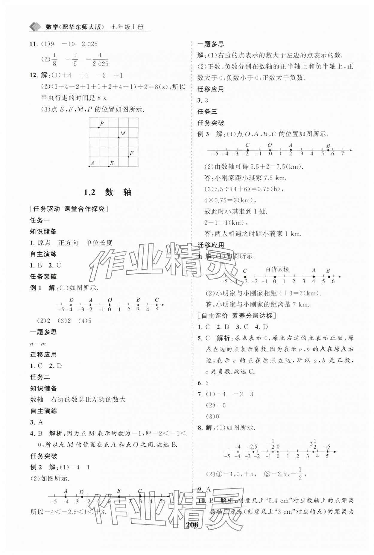 2025年新课程同步练习册七年级数学上册华师大版 第2页