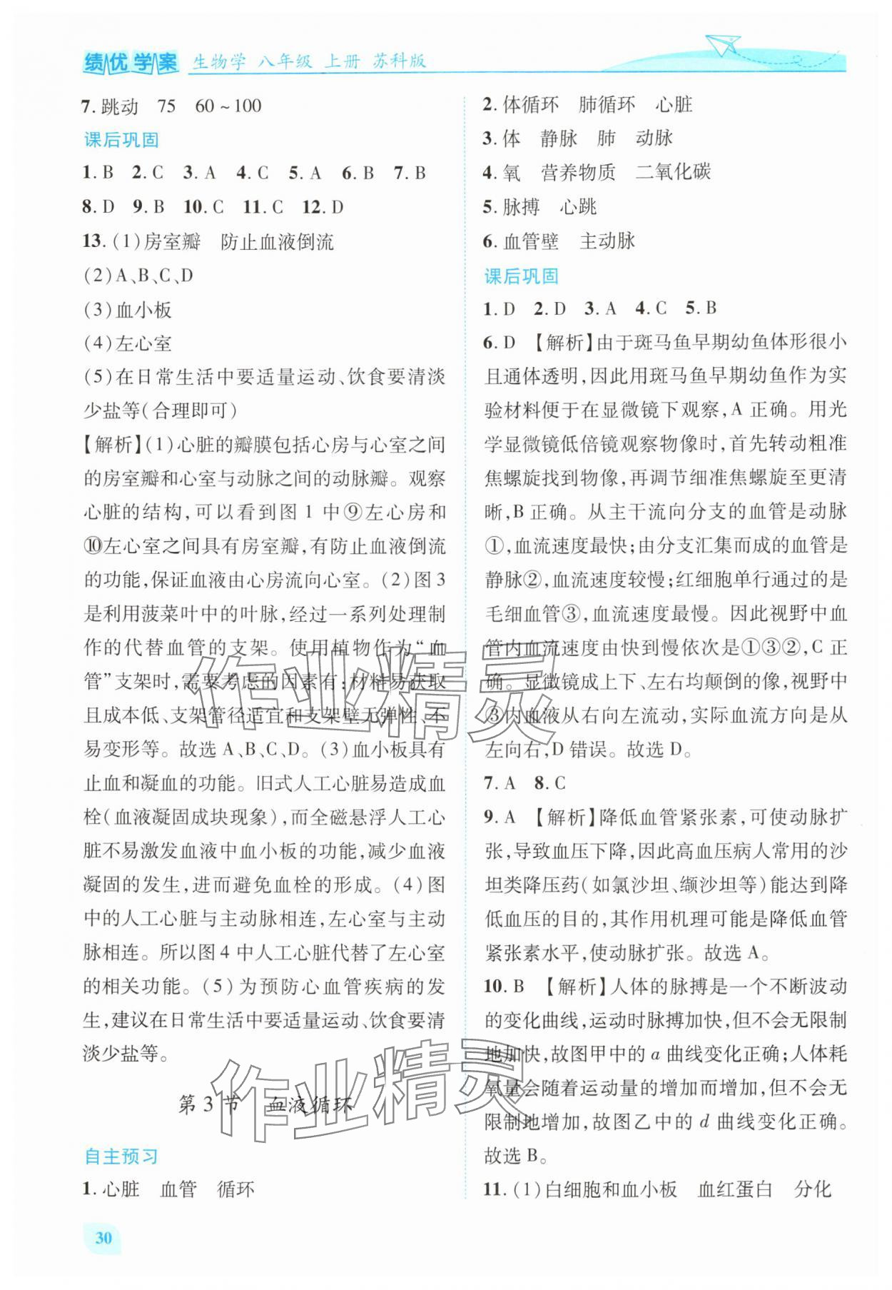 2025年績(jī)優(yōu)學(xué)案八年級(jí)生物上冊(cè)蘇科版 第4頁(yè)