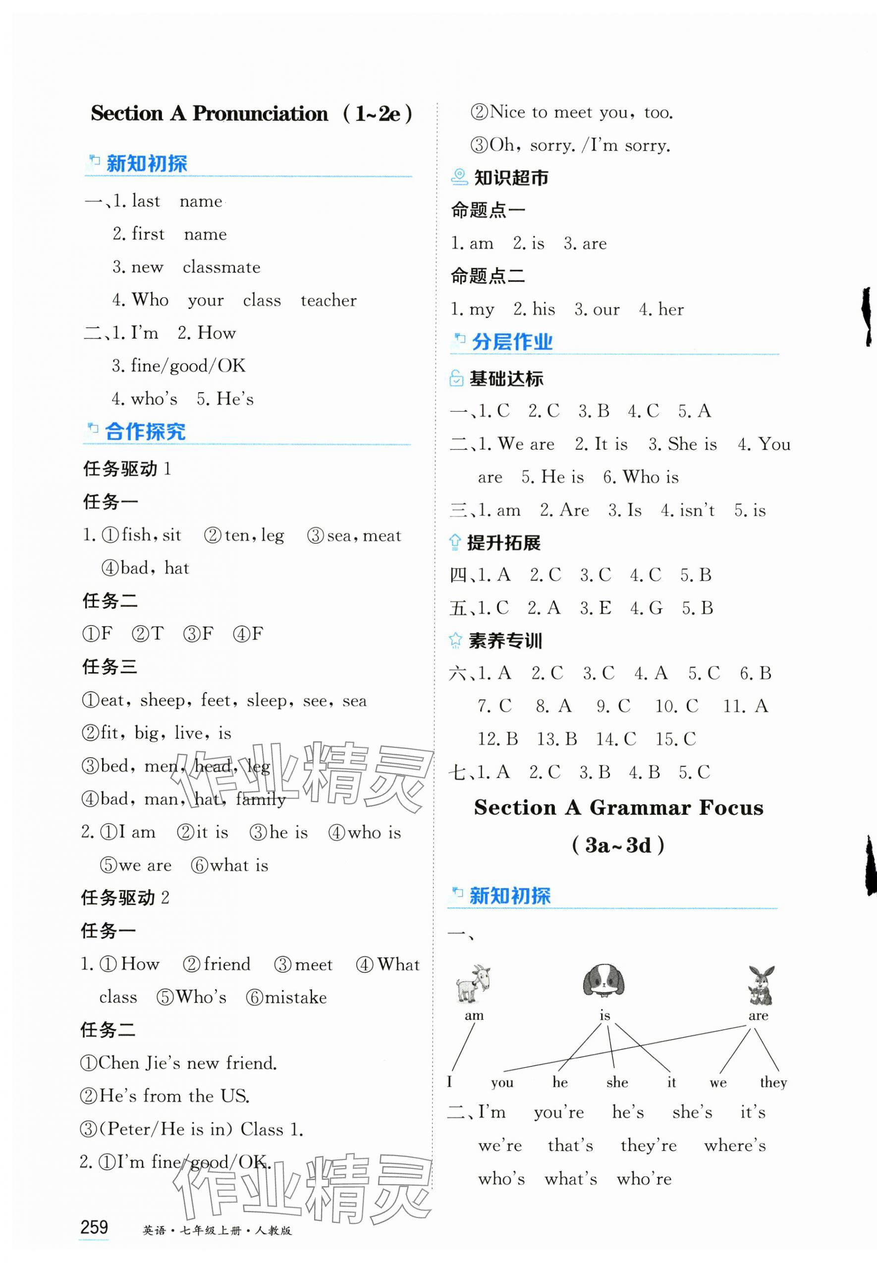 2024年資源與評價(jià)黑龍江教育出版社七年級(jí)英語上冊人教版 第9頁