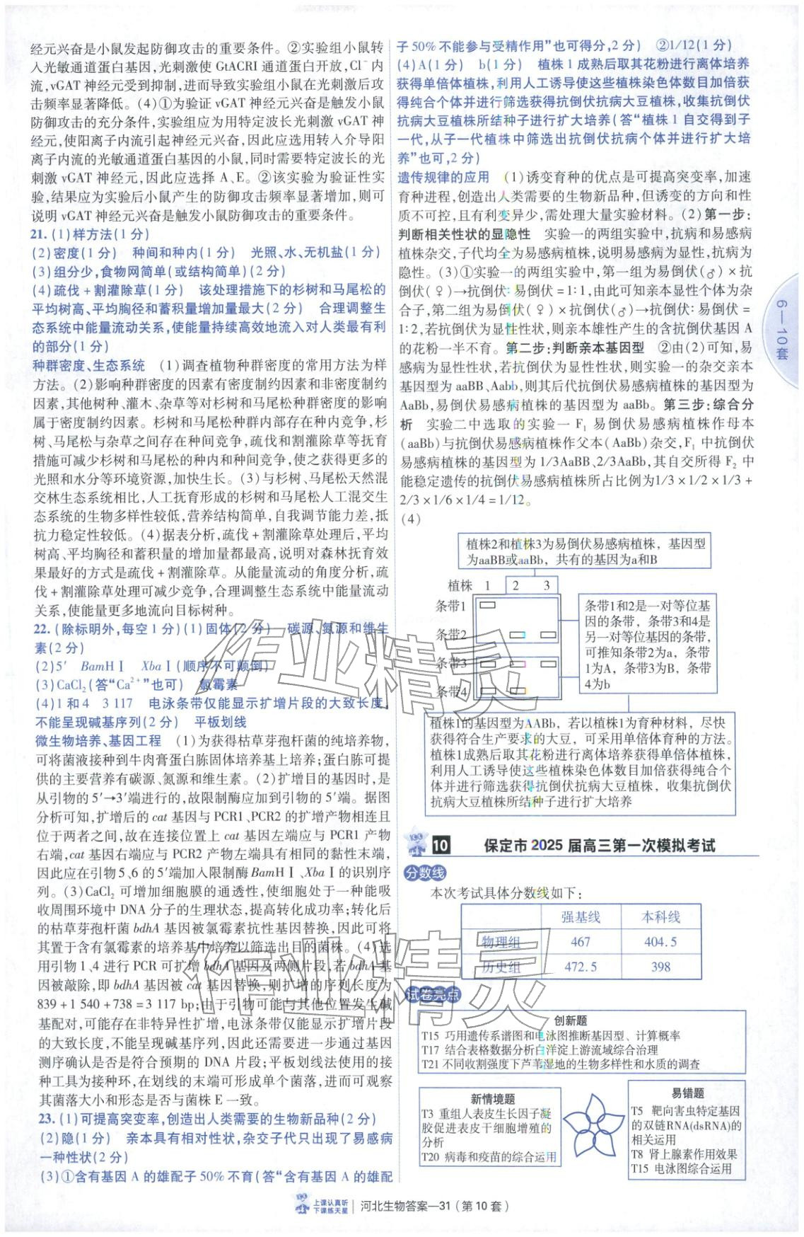 2026年金考卷优秀模拟试卷汇编45套高中生物河北专版 第31页