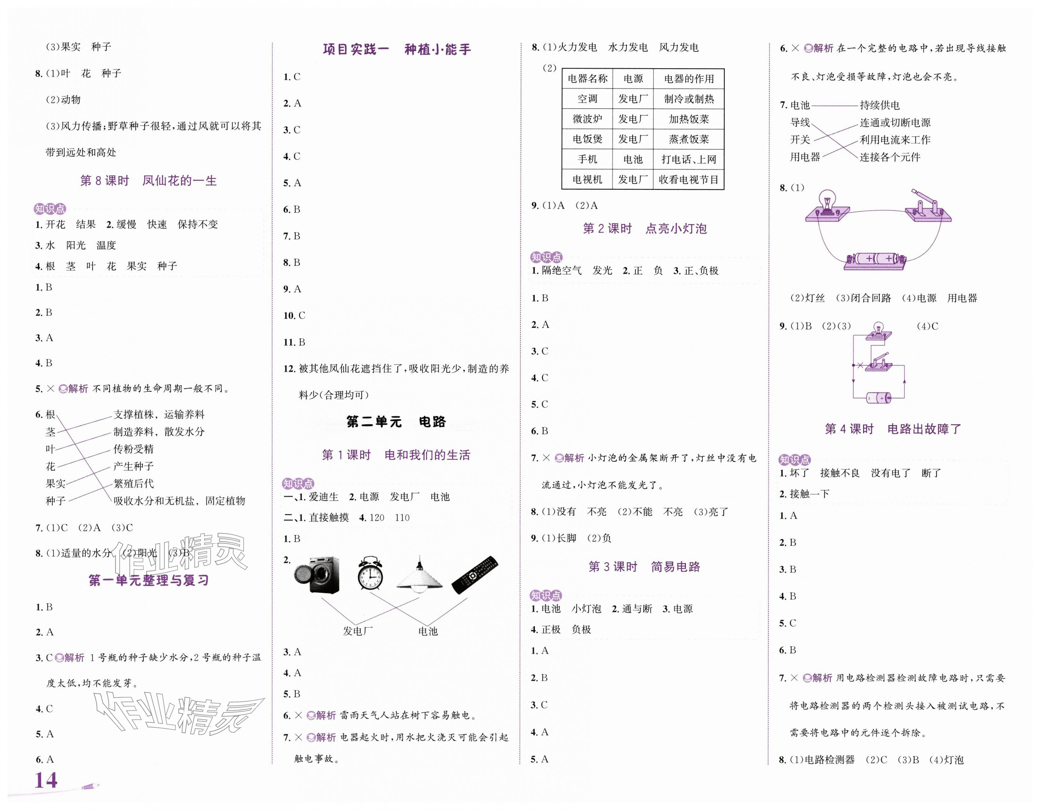 2026年奔跑吧少年四年级科学下册教科版&nbsp;第2页