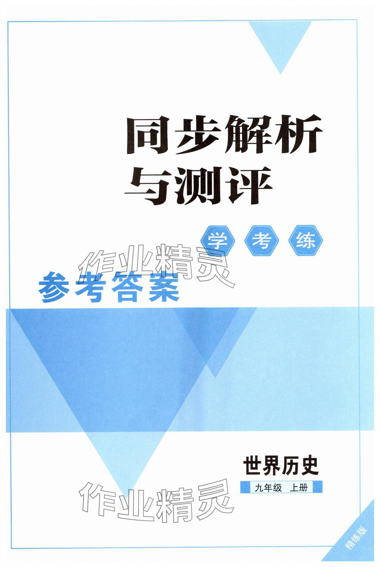 2025年人教金学典同步解析与测评学考练九年级历史上册人教版精练版 第1页
