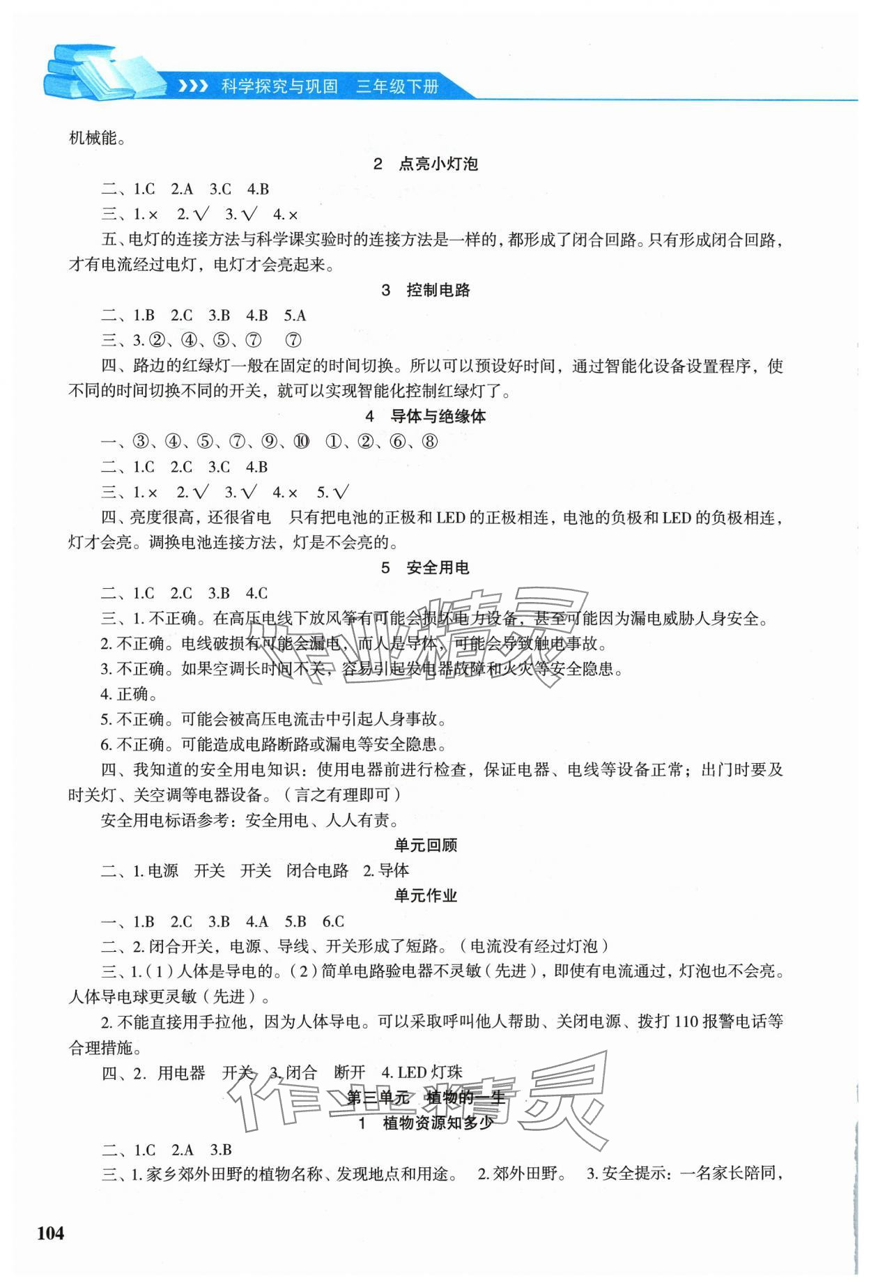 2024年科學探究與鞏固三年級下冊大象版 第2頁