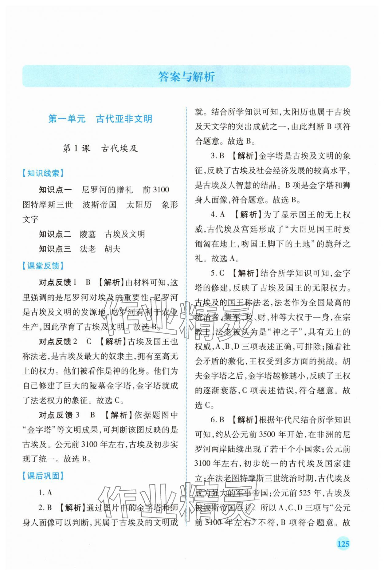 2025年绩优学案九年级历史上册人教版 第1页