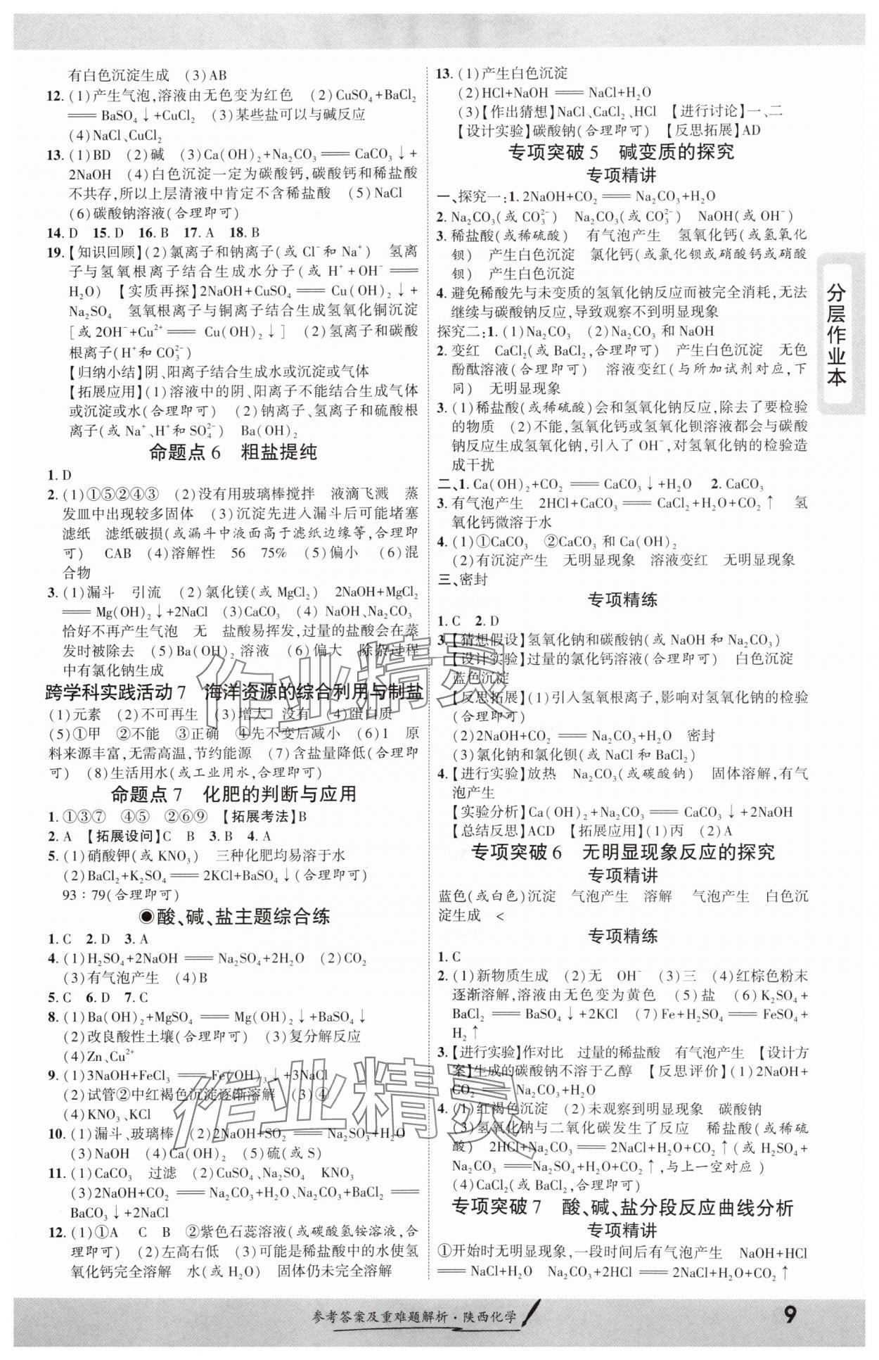 2025年一战成名新中考化学陕西专版 参考答案第8页