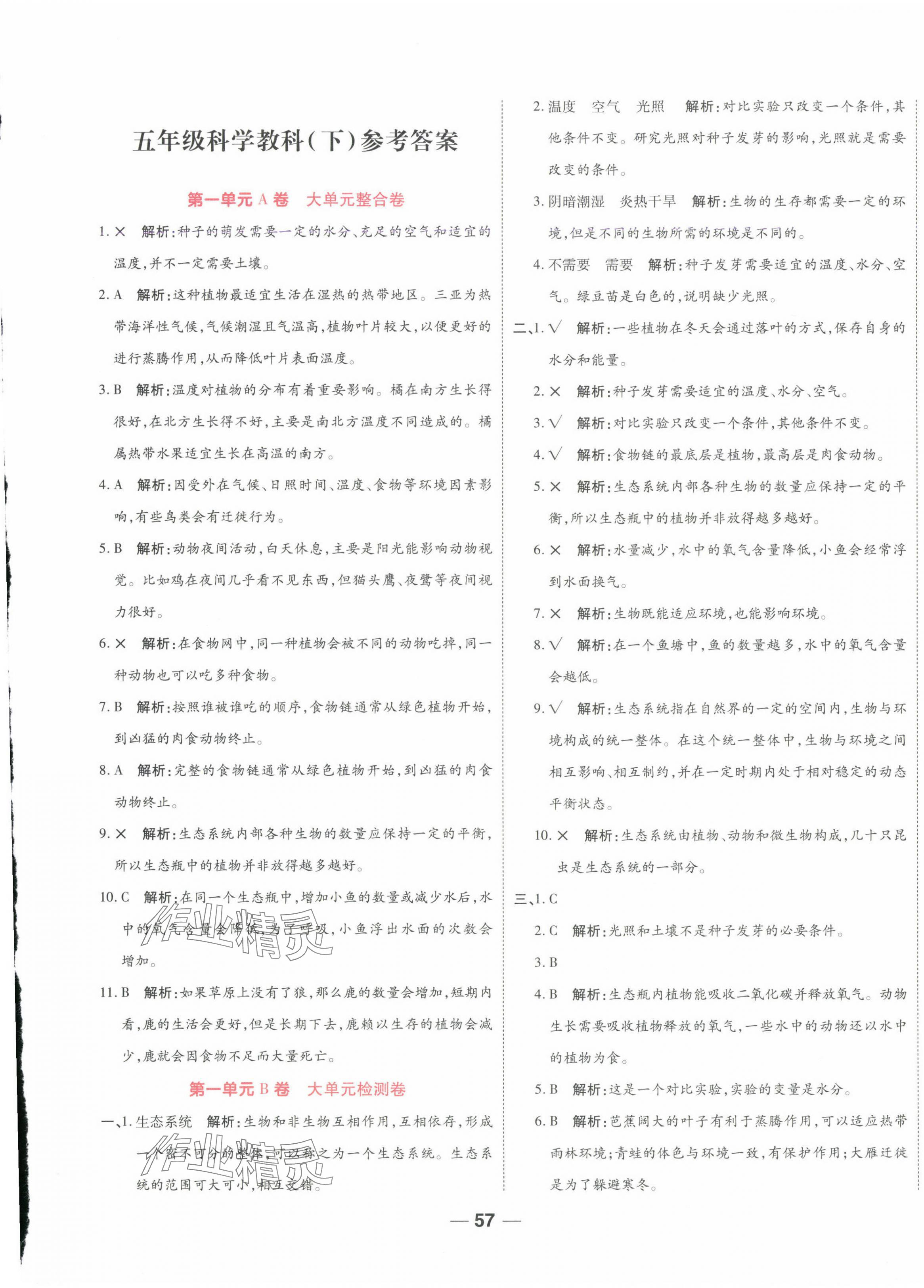 2025年跳跳熊預習單元整合卷五年級科學下冊教科版 第1頁