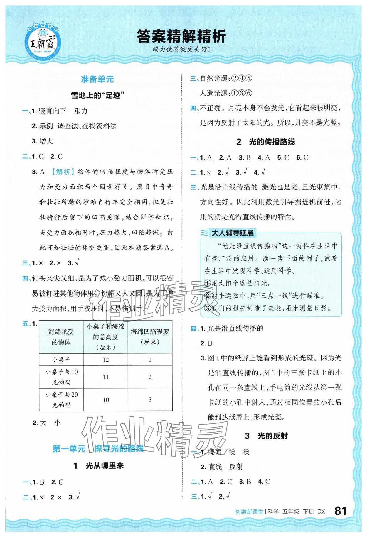 2025年創(chuàng)維新課堂五年級科學下冊大象版 參考答案第1頁