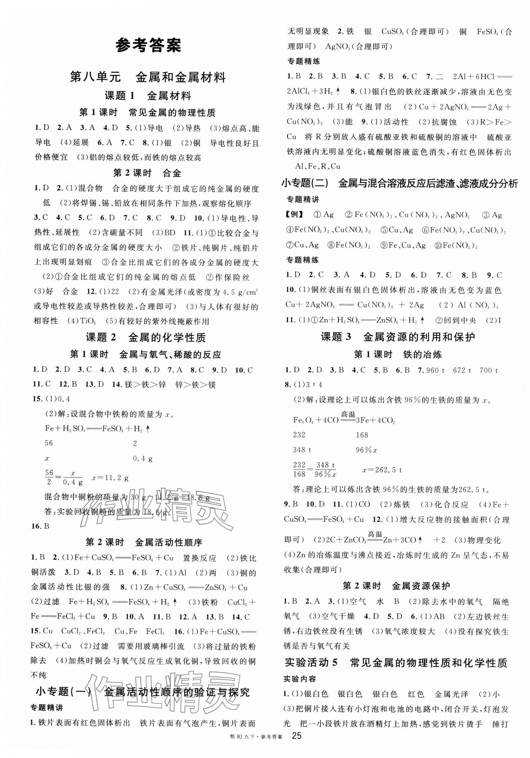 2025年名校課堂九年級化學下冊人教版湖北專版 第1頁