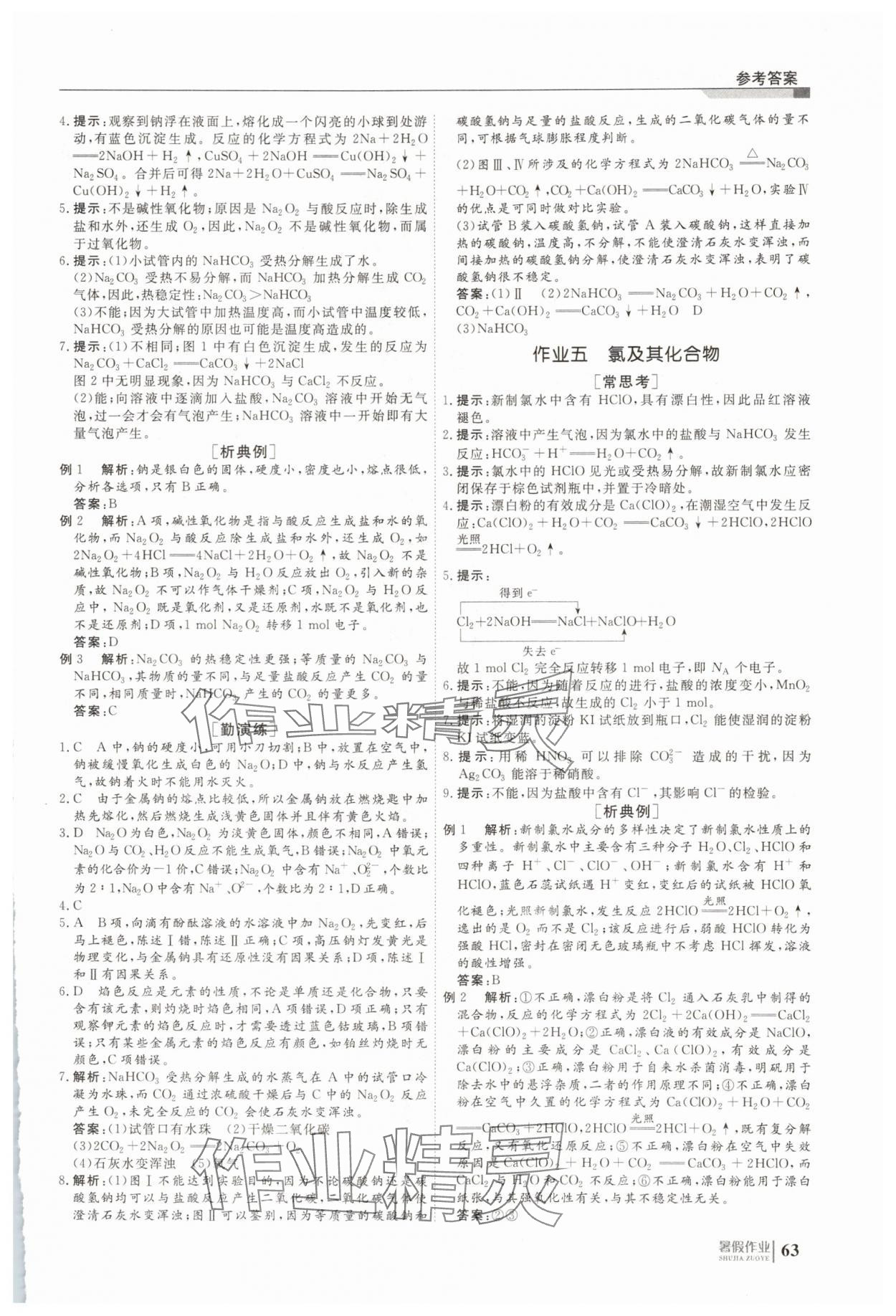 2025年暑假作业明天出版社高一化学 第3页