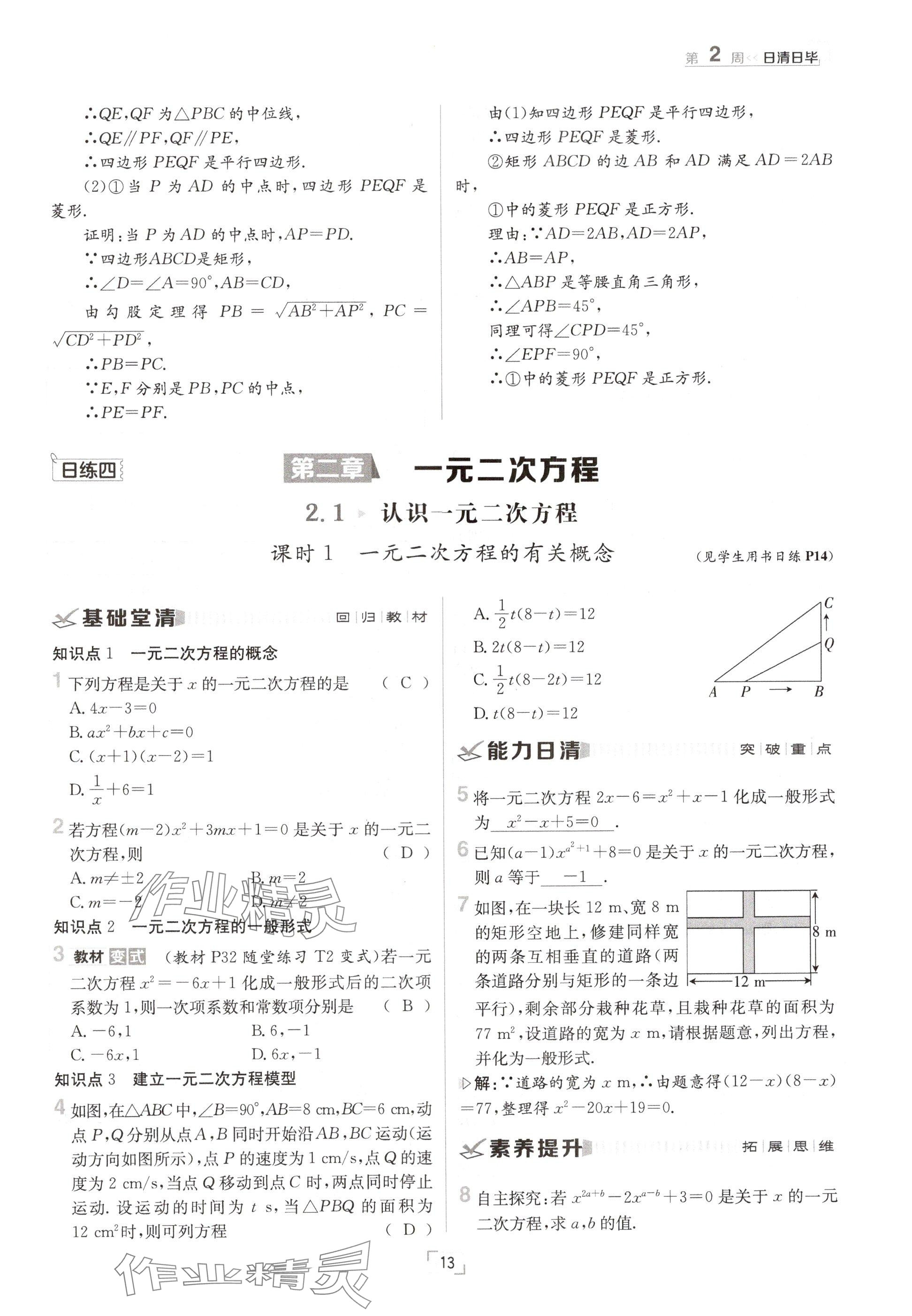 2024年日清周練九年級(jí)數(shù)學(xué)全一冊北師大版 參考答案第13頁