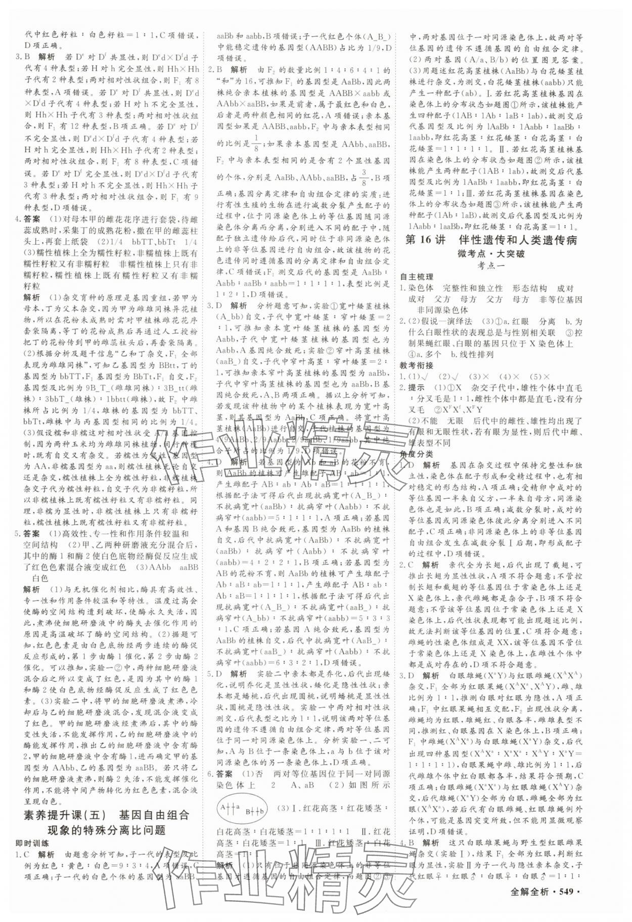 2025年贏在微點(diǎn)高中生物 參考答案第18頁
