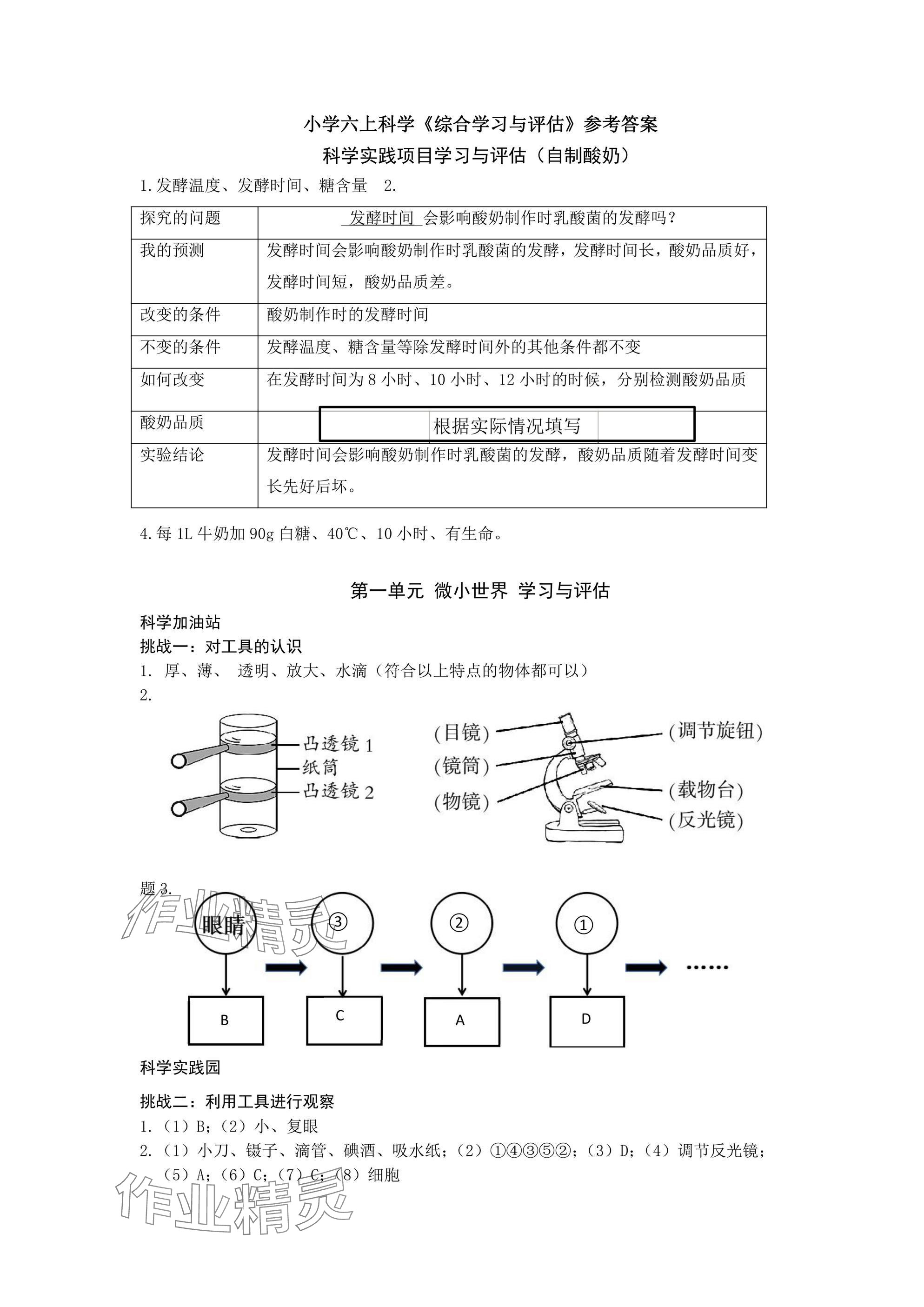 2024年綜合學(xué)習(xí)與評(píng)估六年級(jí)科學(xué)上冊(cè)教科版 參考答案第1頁(yè)