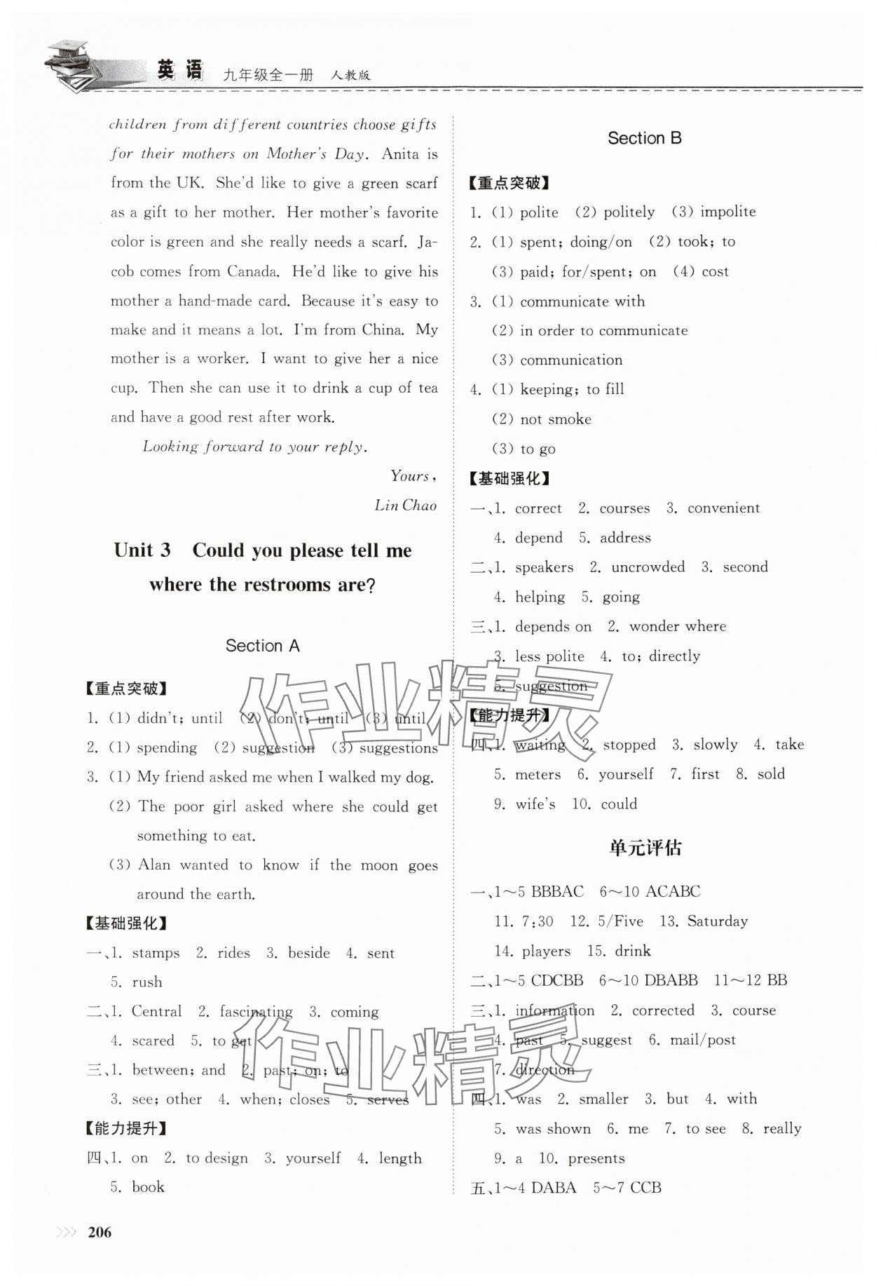 2024年同步練習(xí)冊山東科學(xué)技術(shù)出版社九年級英語全一冊人教版 參考答案第3頁