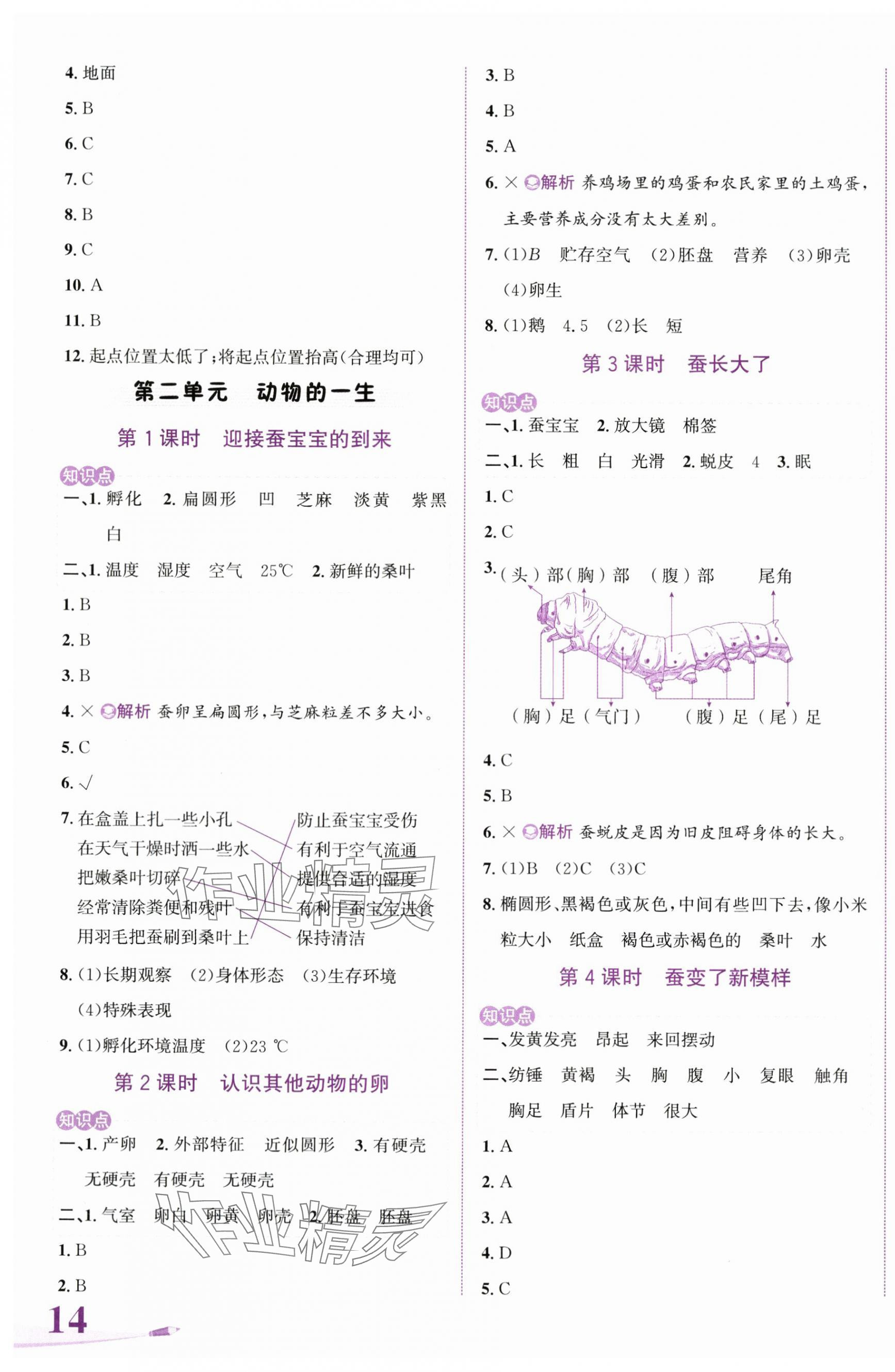 2024年奔跑吧少年三年級科學下冊教科版 第3頁