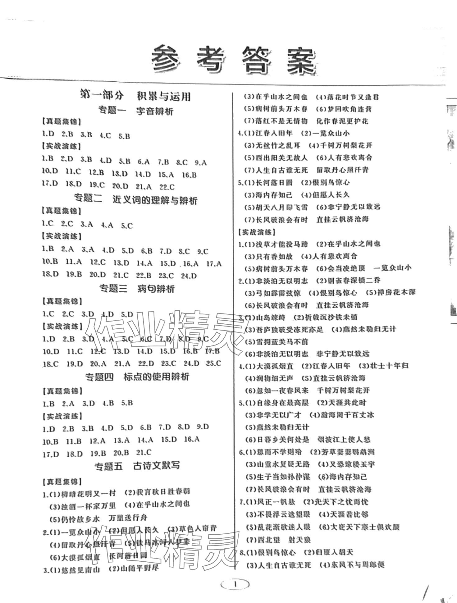 2024年初中總復(fù)習(xí)北京教育出版社語文 第1頁