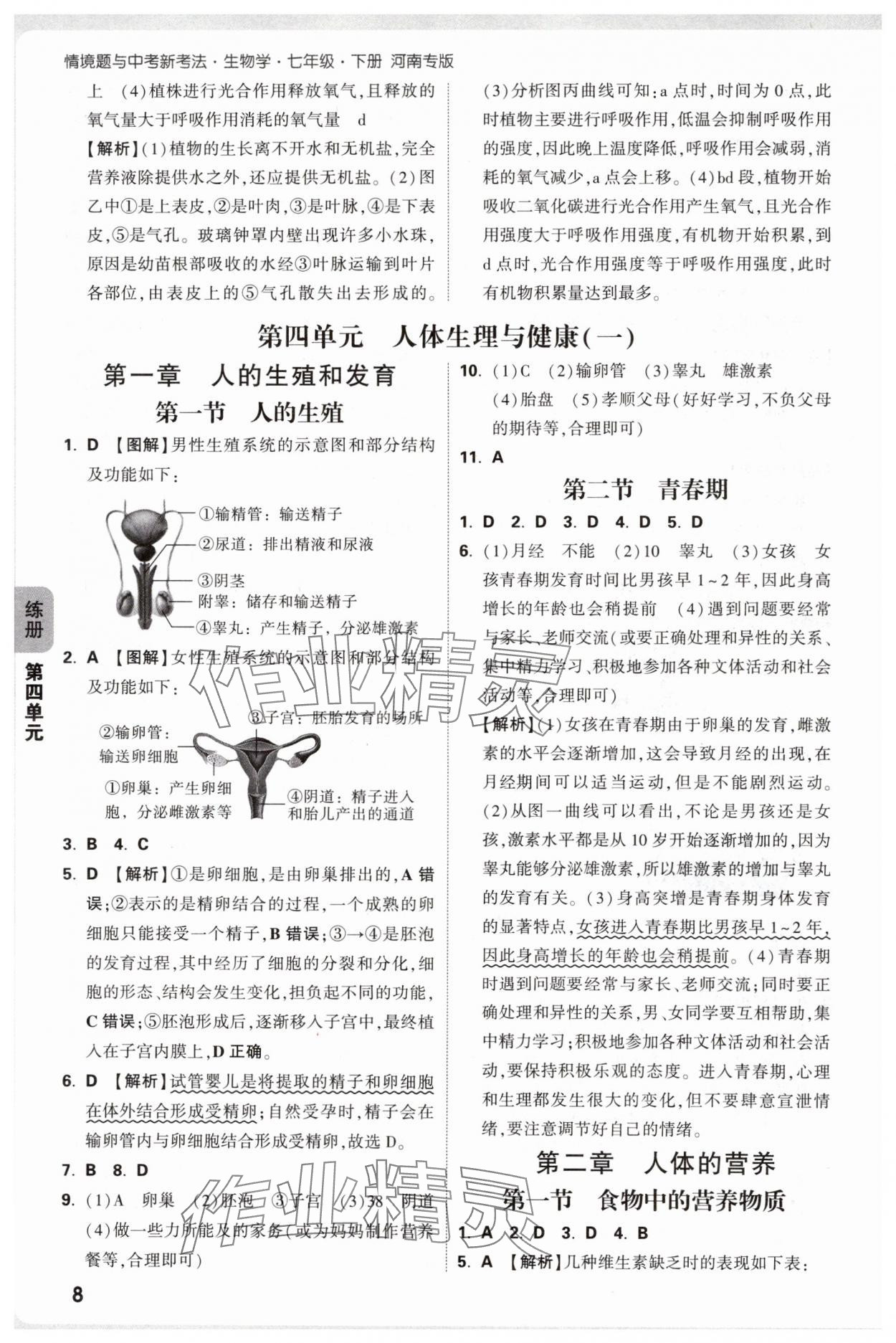 2025年萬唯中考情境題七年級生物下冊人教版河南專版 參考答案第8頁