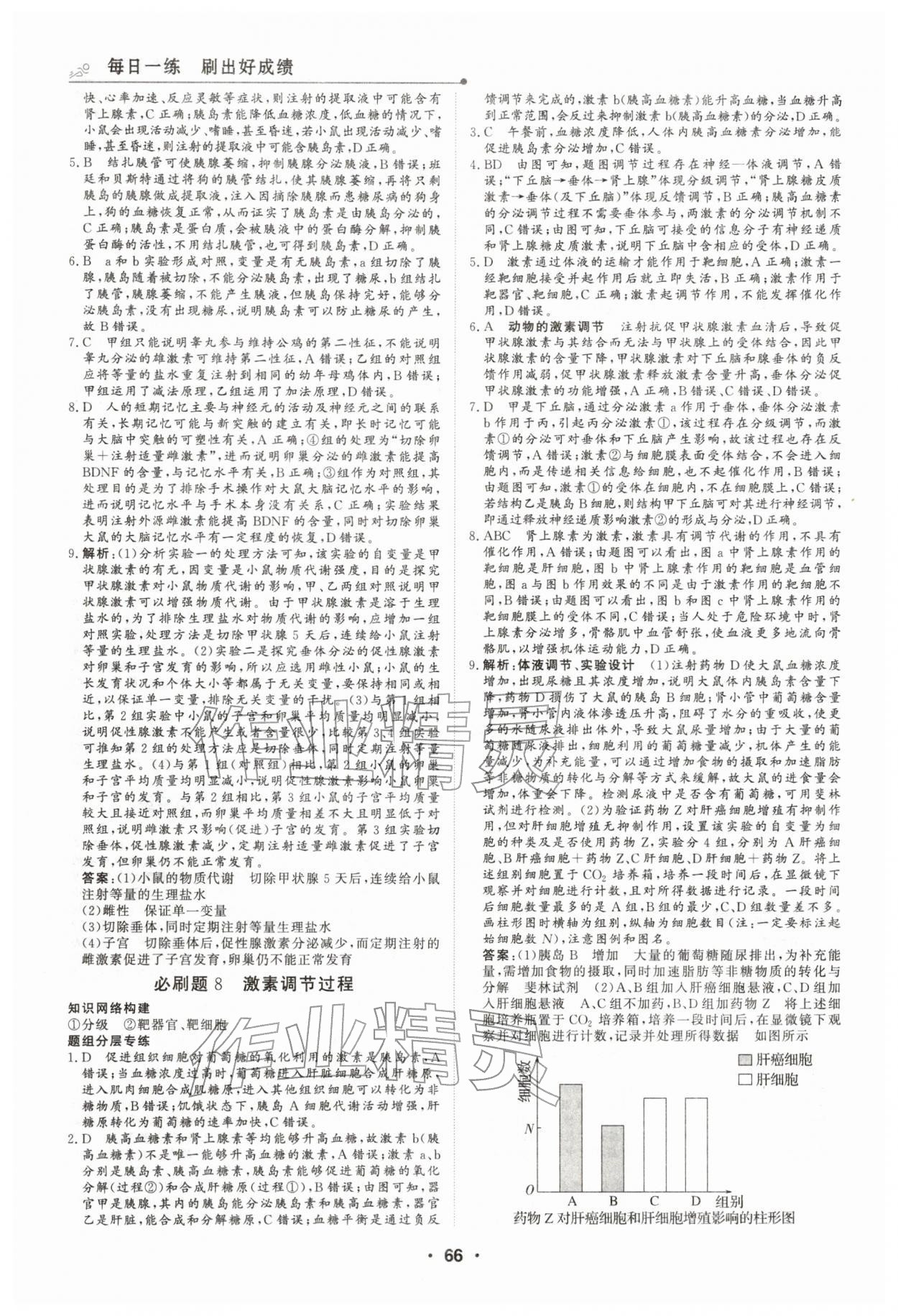 2026年高中假日必刷題高二生物&nbsp;第4頁