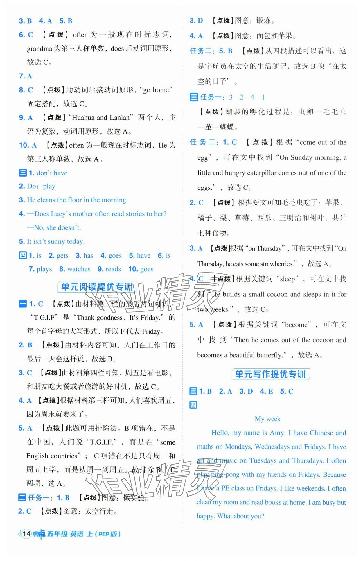 2024年綜合應(yīng)用創(chuàng)新題典中點(diǎn)五年級英語上冊人教版 參考答案第14頁